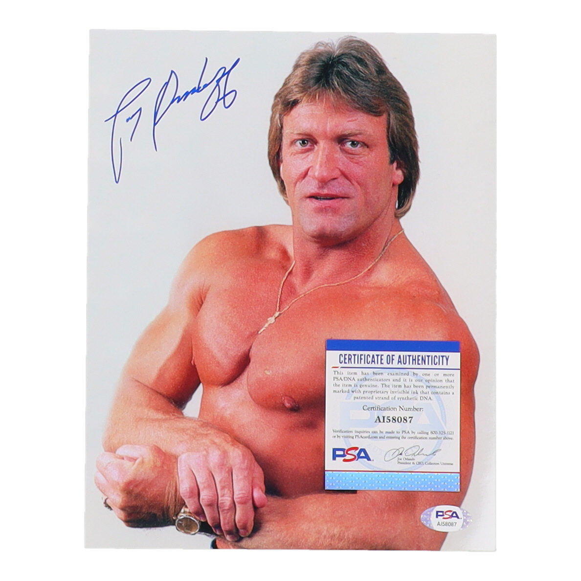 Paul Orndorff Signed 8x10 Photo (PSA) at PristineAuction.com Paul Orndorff Signed 8x10 Photo (PSA) at PristineAuction.com