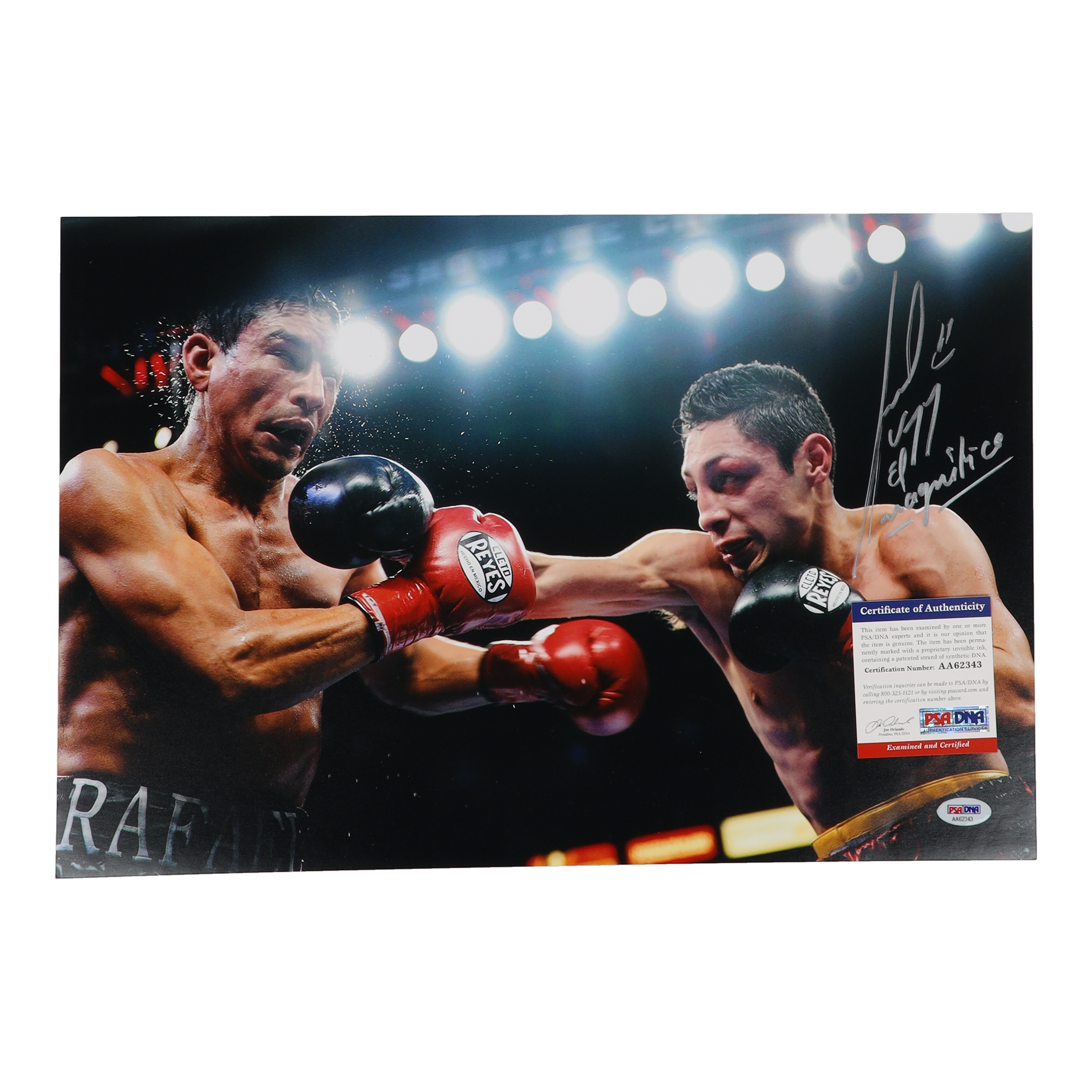 Israel Vazquez Signed 11x17 Photo Inscribed "El Magnifico" (PSA) at PristineAuction.com Israel Vazquez Signed 11x17 Photo Inscribed "El Magnifico" (PSA) at PristineAuction.com