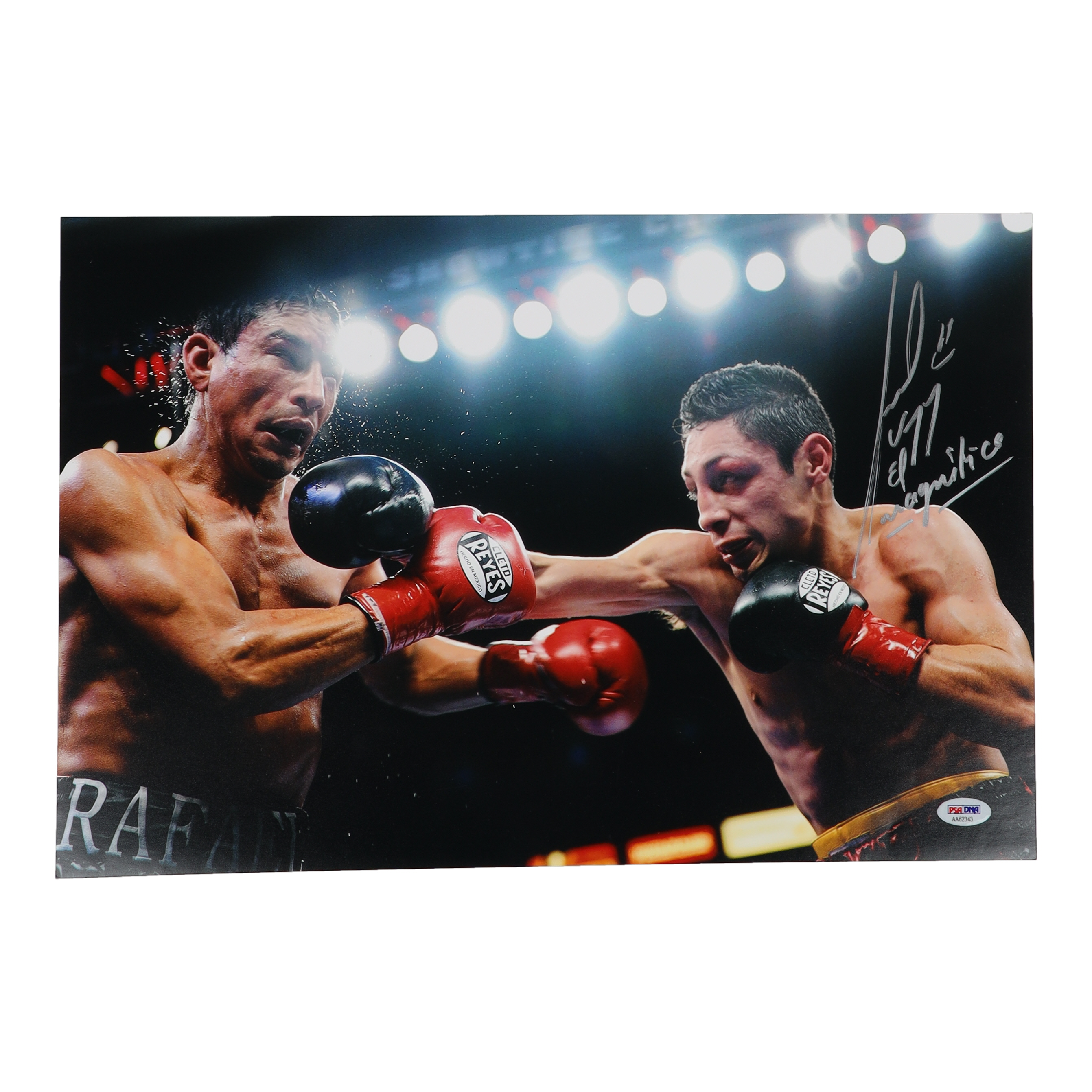 Israel Vazquez Signed 11x17 Photo Inscribed "El Magnifico" (PSA) at PristineAuction.com Israel Vazquez Signed 11x17 Photo Inscribed "El Magnifico" (PSA) at PristineAuction.com