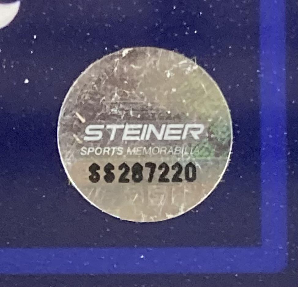 Chazz Palminteri Signed "A Bronx Tale" Custom Framed Photo (Steiner) at PristineAuction.com Chazz Palminteri Signed "A Bronx Tale" Custom Framed Photo (Steiner) at PristineAuction.com