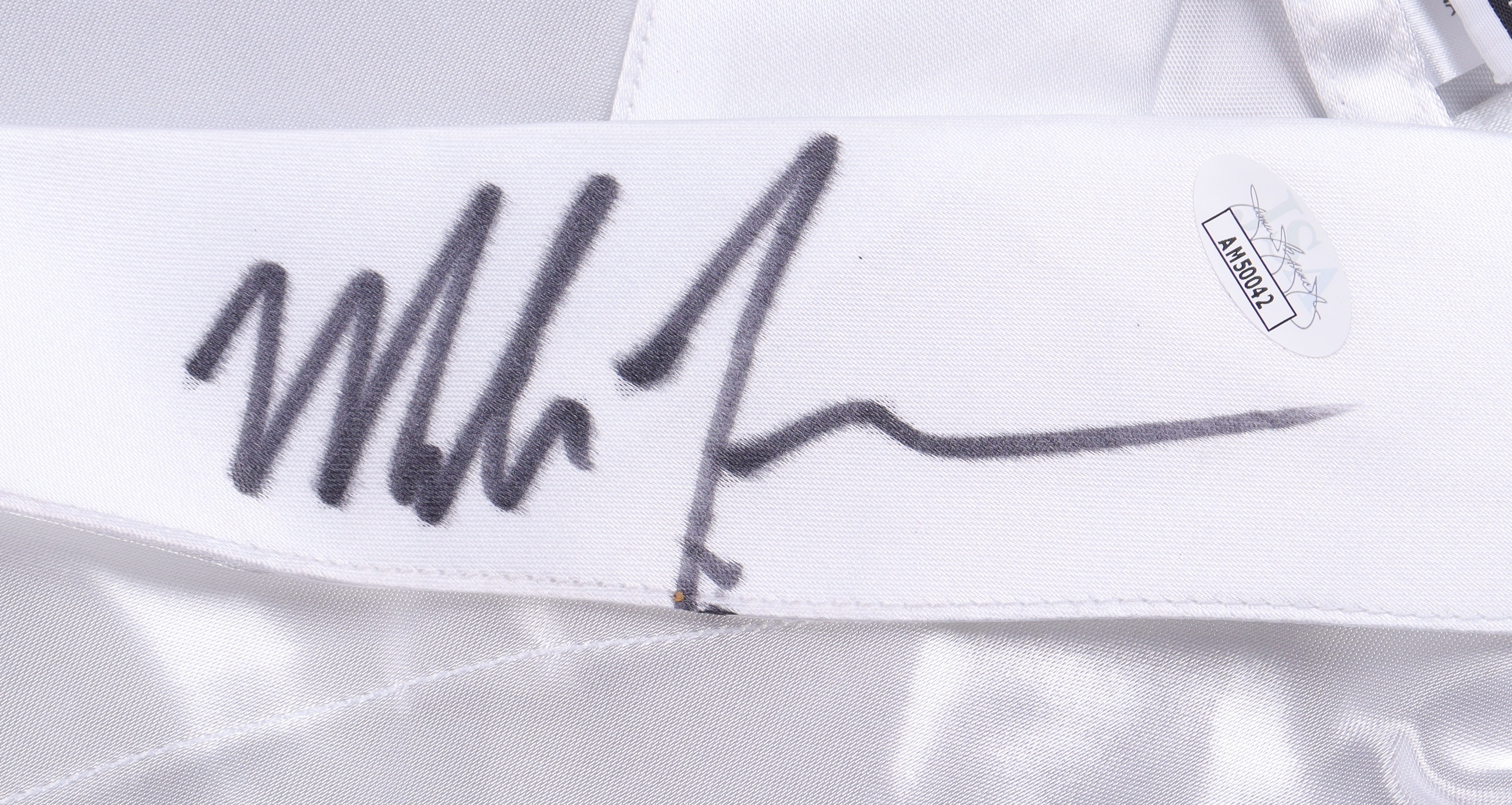 Mike Tyson Signed Everlast Boxing Robe (JSA & Tyson) at PristineAuction.com Mike Tyson Signed Everlast Boxing Robe (JSA & Tyson) at PristineAuction.com