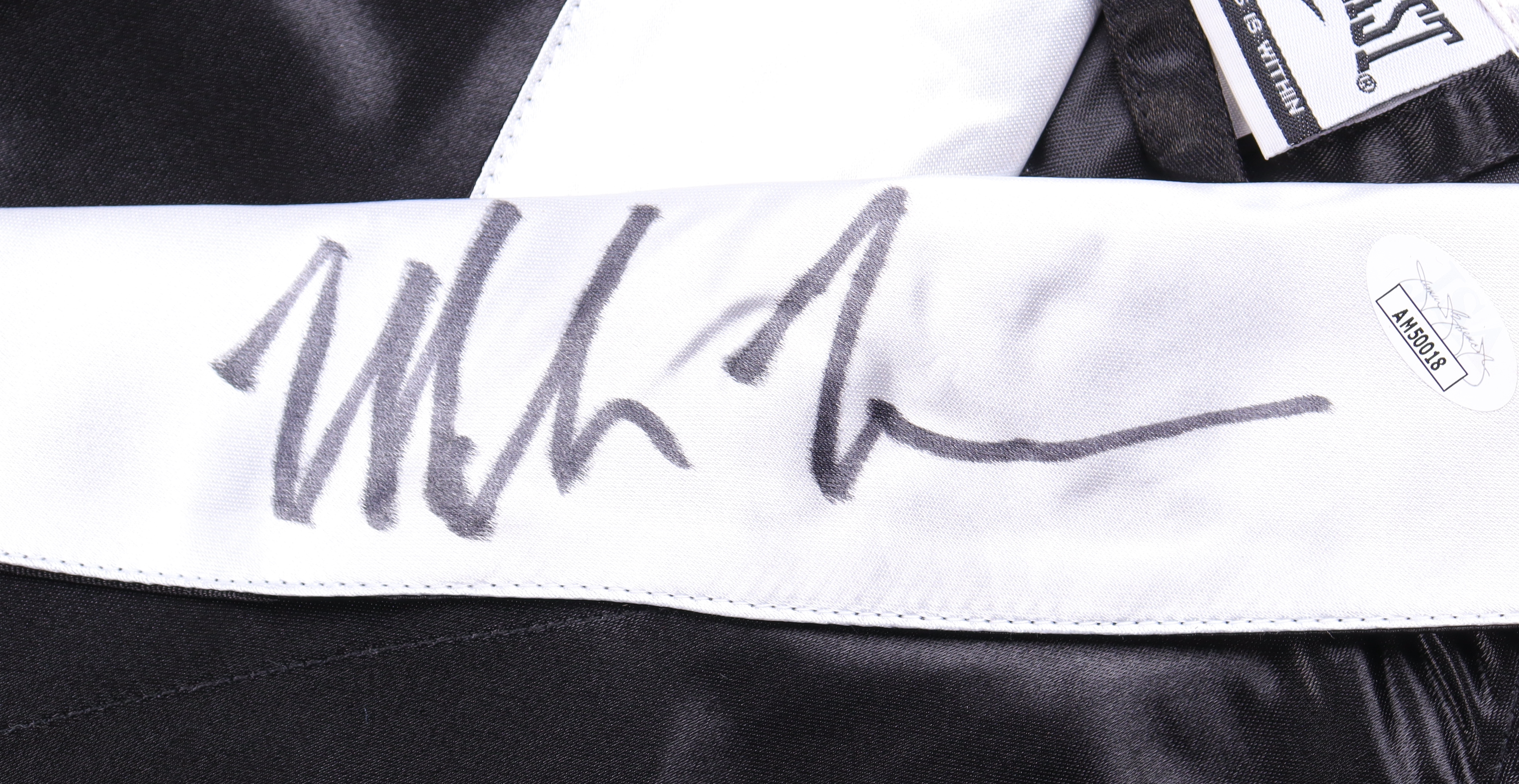 Mike Tyson Signed Everlast Boxing Robe (JSA & Tyson) at PristineAuction.com Mike Tyson Signed Everlast Boxing Robe (JSA & Tyson) at PristineAuction.com