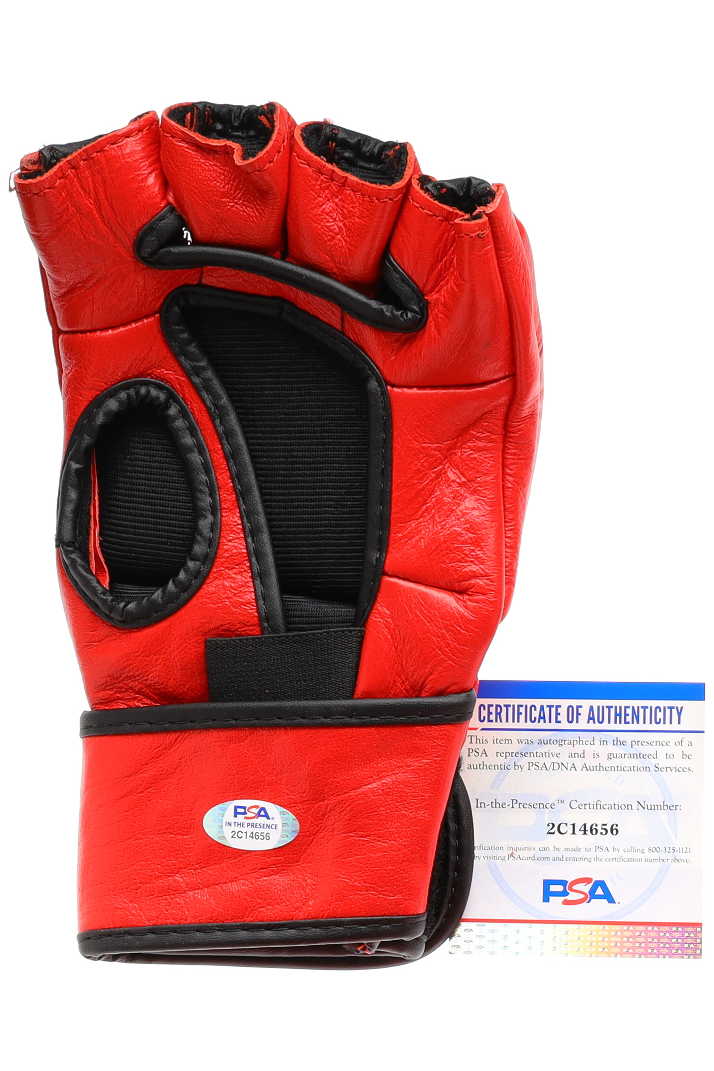 Khamzat Chimaev Signed UFC Glove (PSA) at PristineAuction.com Khamzat Chimaev Signed UFC Glove (PSA) at PristineAuction.com