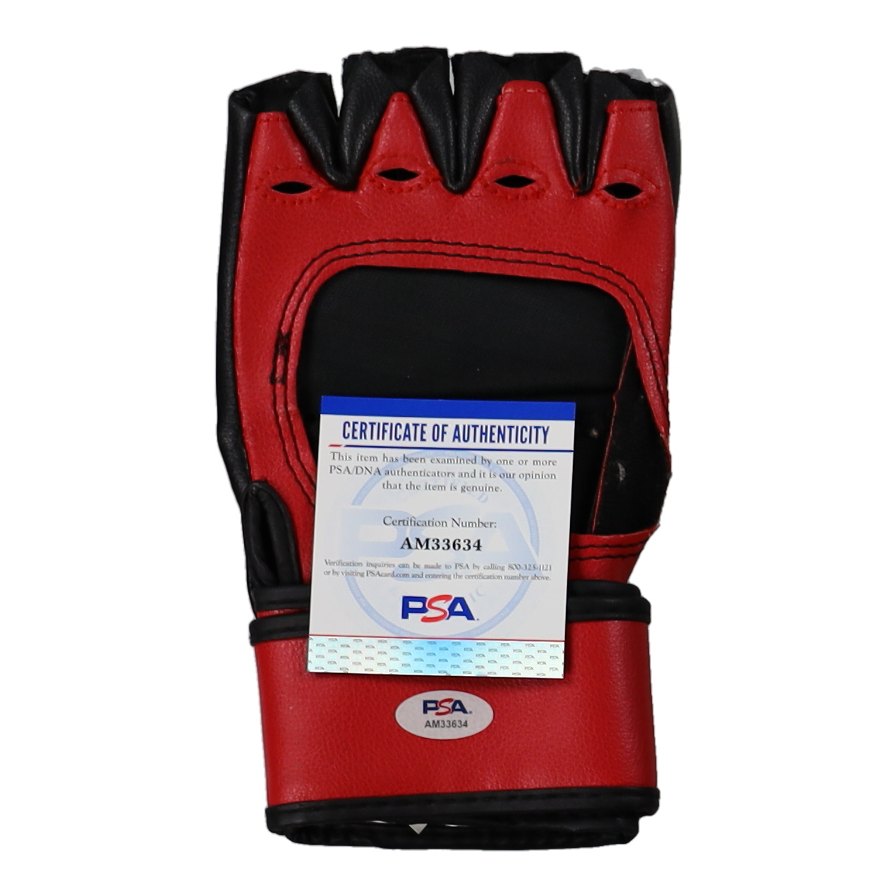 Junior dos Santos & Cain Velasquez Signed UFC Fight Glove (PSA) at PristineAuction.com Junior dos Santos & Cain Velasquez Signed UFC Fight Glove (PSA) at PristineAuction.com