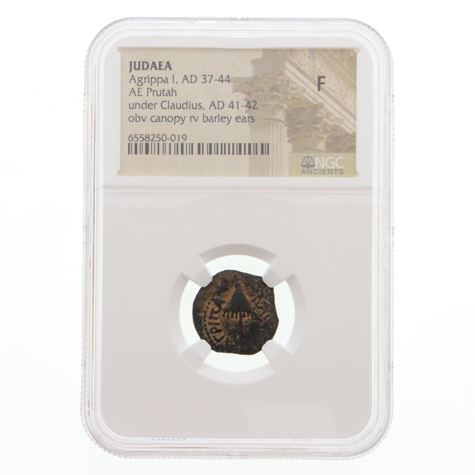 Judaea - Agrippa I, AD 37-44, AE Prutah, under Cladius, AD 41-42, Obverse Canopy Reverse Barley Ears (NGC VG) at PristineAuction.com Judaea - Agrippa I, AD 37-44, AE Prutah, under Cladius, AD 41-42, Obverse Canopy Reverse Barley Ears (NGC VG) at PristineAuction.com