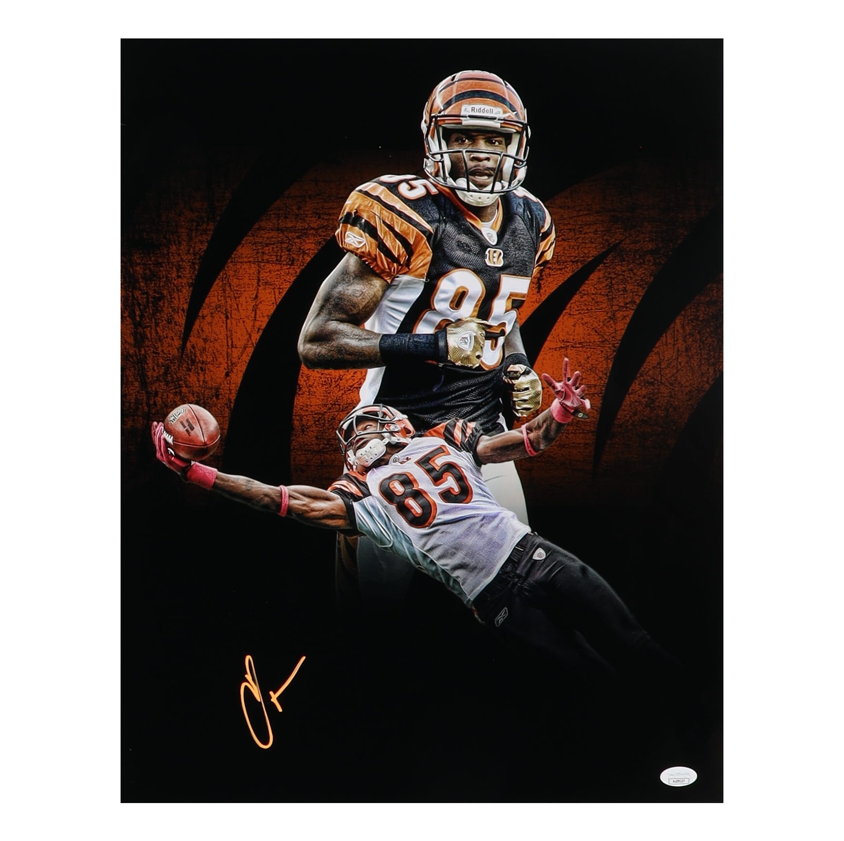 Chad 'Ochocinco' Johnson Signed Bengals 16x20 Photo (JSA) at PristineAuction.com Chad 'Ochocinco' Johnson Signed Bengals 16x20 Photo (JSA) at PristineAuction.com