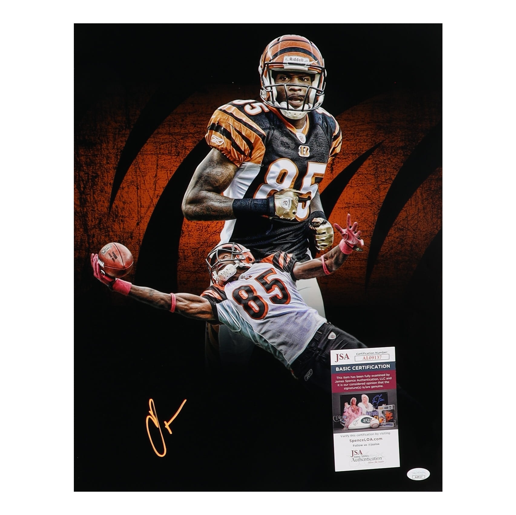 Chad 'Ochocinco' Johnson Signed Bengals 16x20 Photo (JSA) at PristineAuction.com Chad 'Ochocinco' Johnson Signed Bengals 16x20 Photo (JSA) at PristineAuction.com