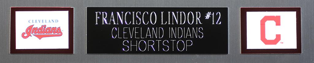 Francisco Lindor Signed Custom Framed Jersey Display (Fanatics & MLB) at PristineAuction.com Francisco Lindor Signed Custom Framed Jersey Display (Fanatics & MLB) at PristineAuction.com