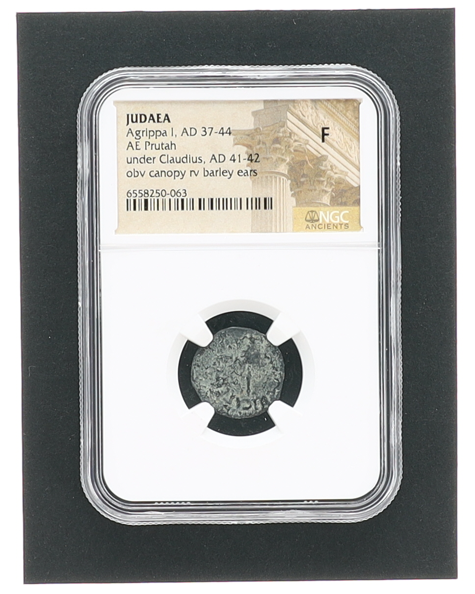 Judaea - Agrippa I, AD 37-44, AE Prutah, under Cladius, AD 41-42, obverse canopy, reverse barley ears (NGC F) at PristineAuction.com Judaea - Agrippa I, AD 37-44, AE Prutah, under Cladius, AD 41-42, obverse canopy, reverse barley ears (NGC F) at PristineAuction.com