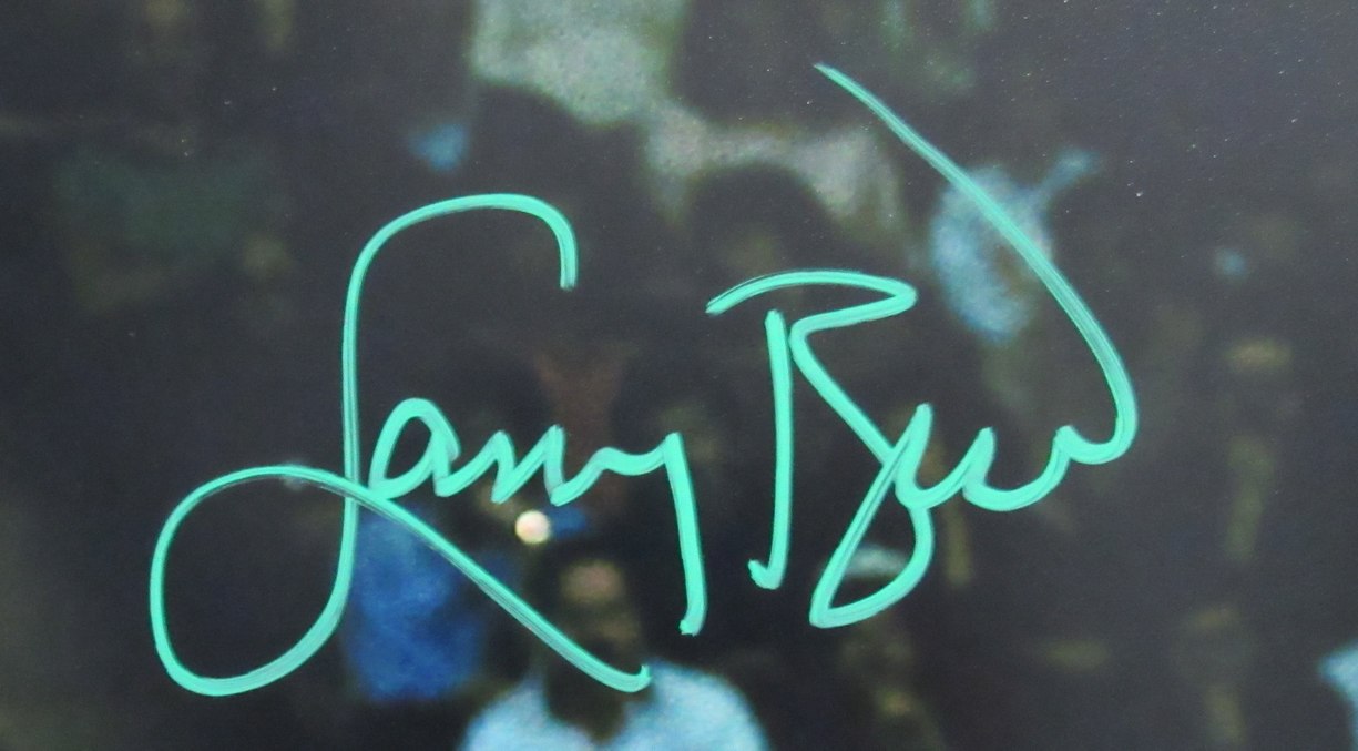 Larry Bird Signed Celtics 16x20 Photo (JSA) at PristineAuction.com Larry Bird Signed Celtics 16x20 Photo (JSA) at PristineAuction.com