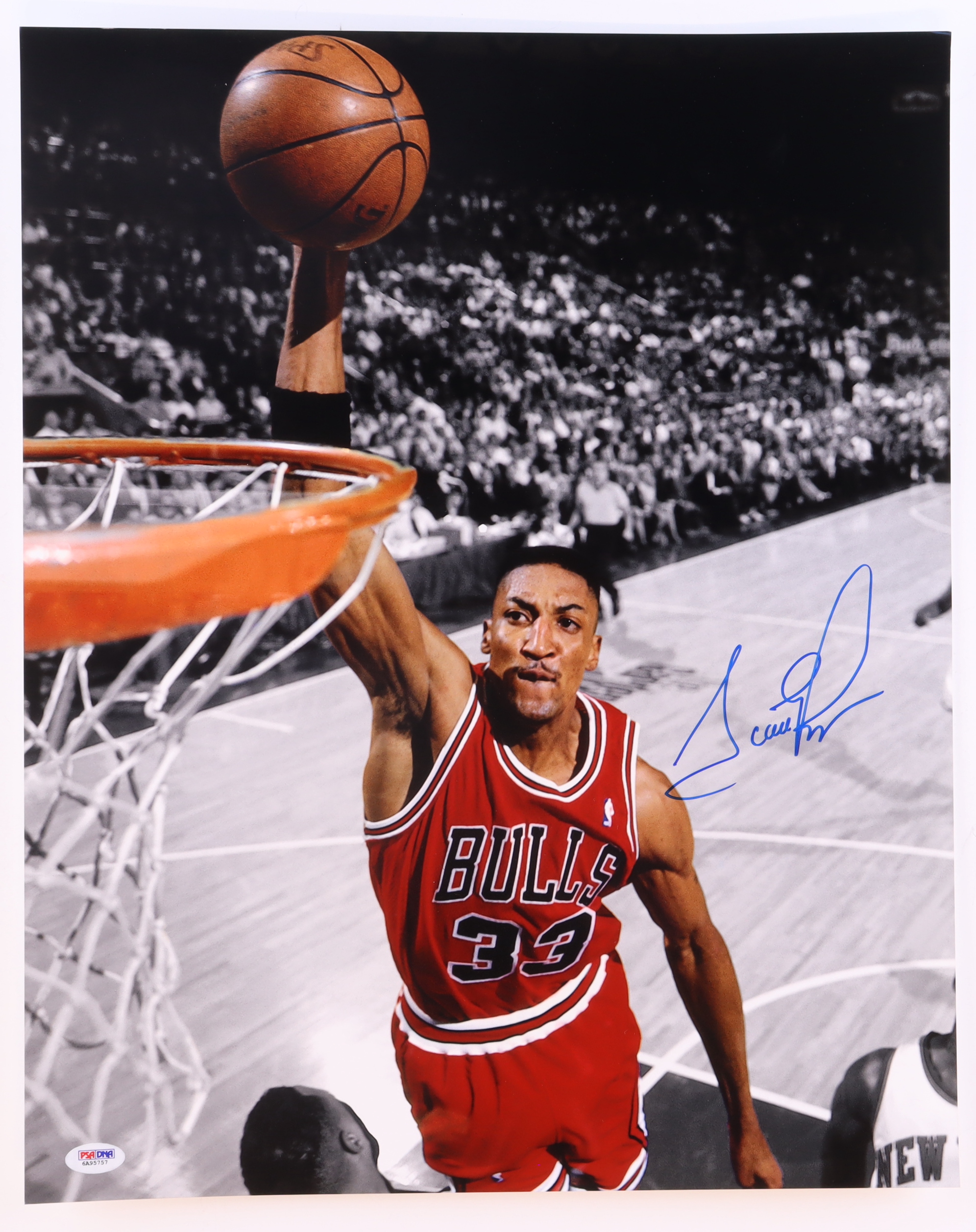 Scottie Pippen Signed Bulls 16x20 Photo (PSA) at PristineAuction.com Scottie Pippen Signed Bulls 16x20 Photo (PSA) at PristineAuction.com