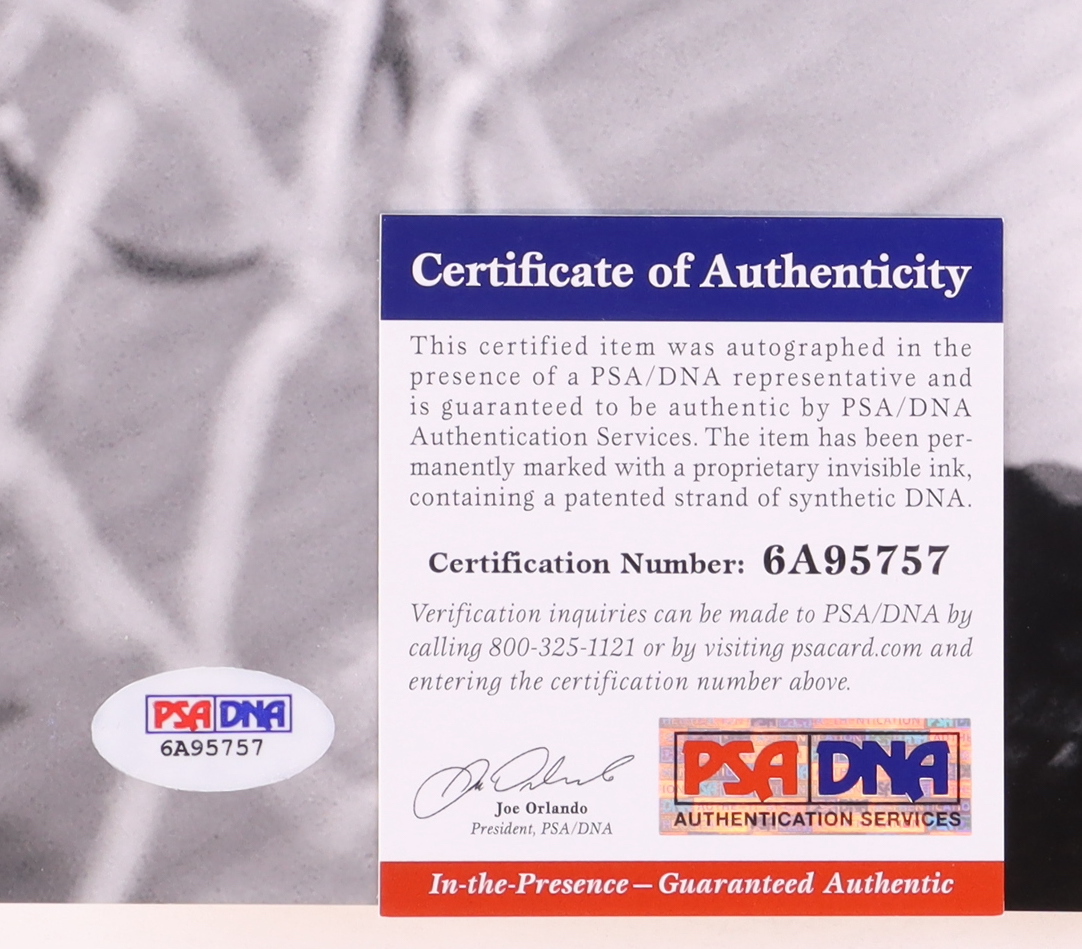 Scottie Pippen Signed Bulls 16x20 Photo (PSA) at PristineAuction.com Scottie Pippen Signed Bulls 16x20 Photo (PSA) at PristineAuction.com