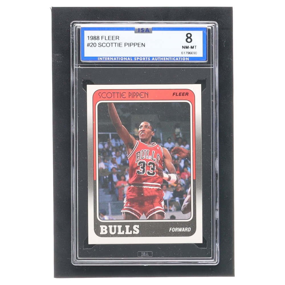 scottie pippen flight 89