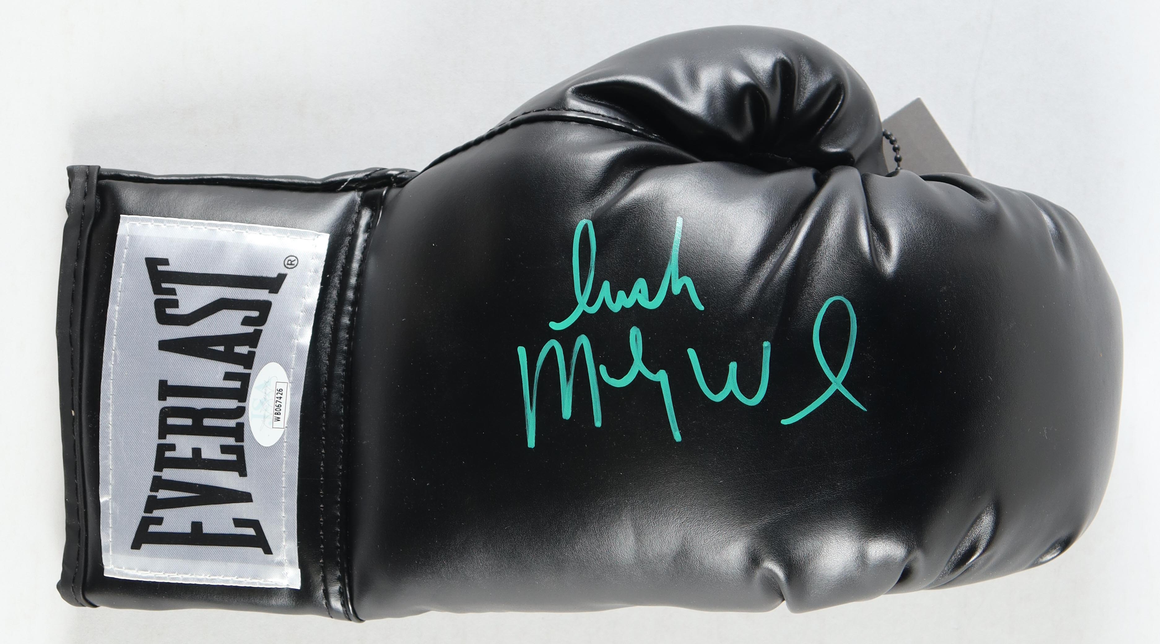 "Irish" Micky Ward Signed Everlast Boxing Glove (JSA) at PristineAuction.com "Irish" Micky Ward Signed Everlast Boxing Glove (JSA) at PristineAuction.com