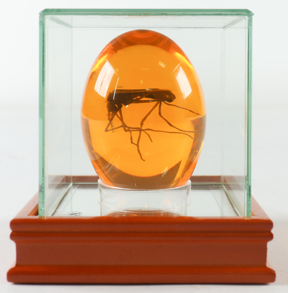 VEOJEIN Jurassic Base Decor | Themen-Briefbeschwerer | Harzständer für Dinosaurier-Sammlerstücke | Detaillierte Skelette, DNA-Motiv & mehr | Basis für Mücken in Bernstein und Fossil Sammlerstücke