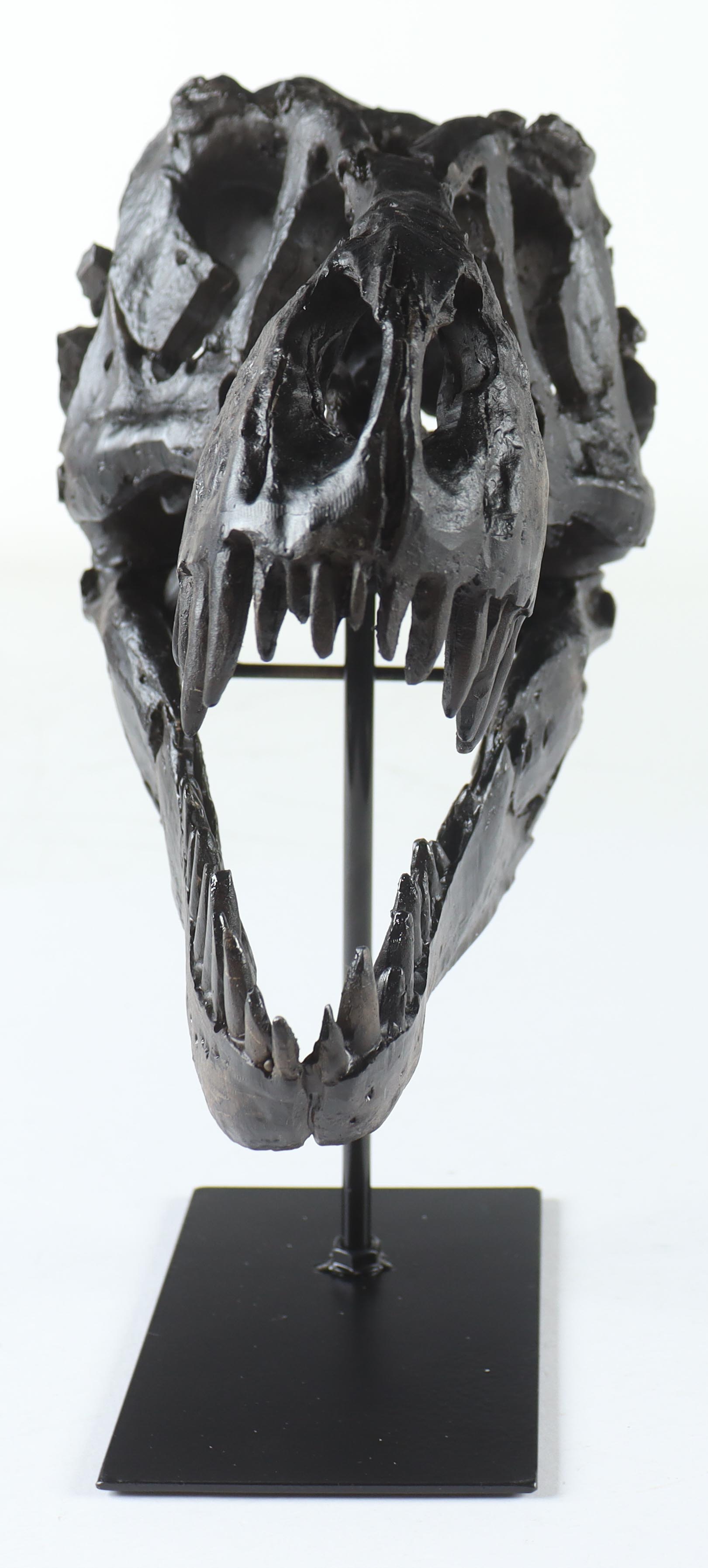 Replica Tyrannosaurus Rex Fossil Skull with Metal Stand Display at PristineAuction.com Replica Tyrannosaurus Rex Fossil Skull with Metal Stand Display at PristineAuction.com