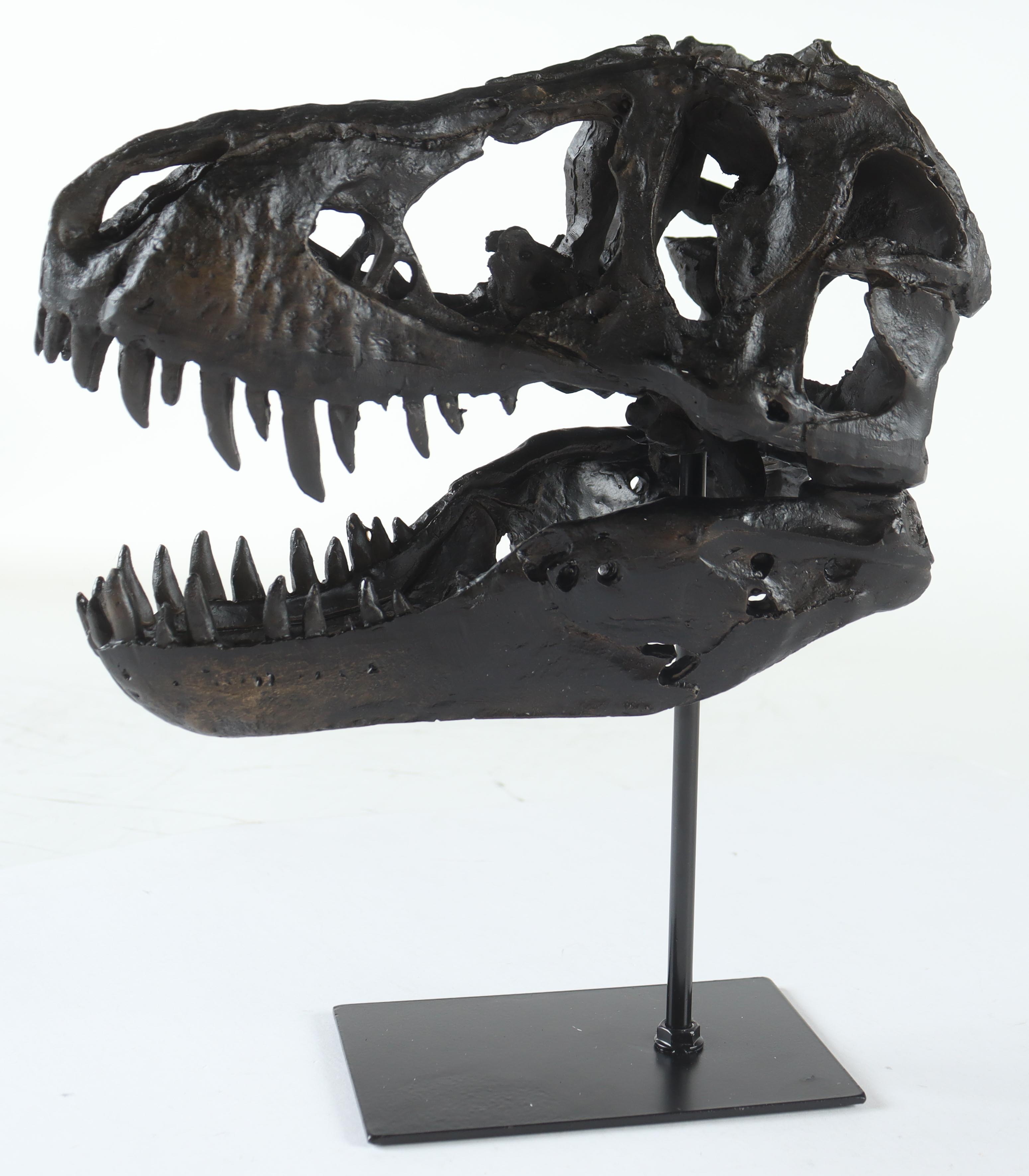 Replica Tyrannosaurus Rex Fossil Skull with Metal Stand Display at PristineAuction.com Replica Tyrannosaurus Rex Fossil Skull with Metal Stand Display at PristineAuction.com