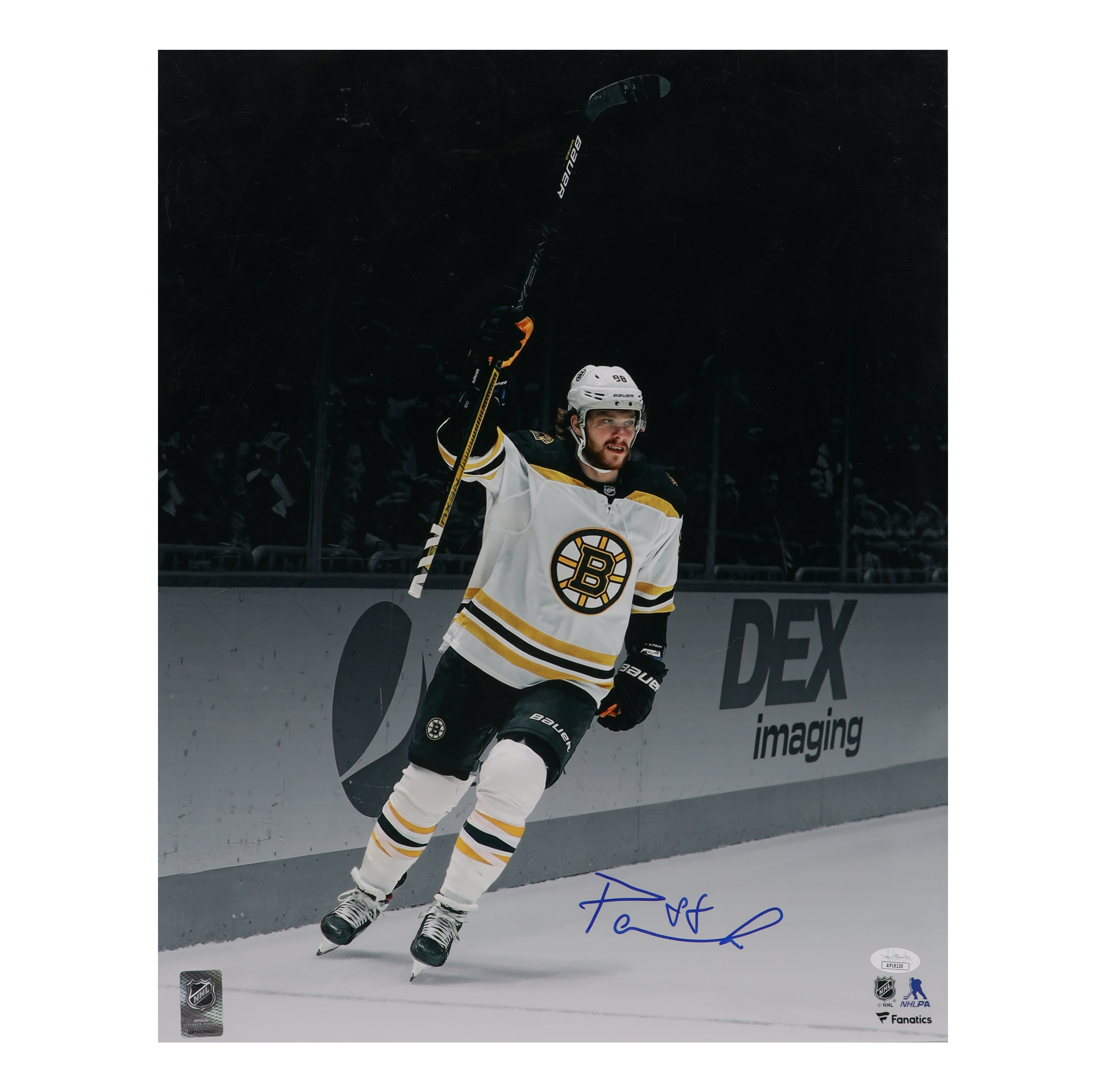 David Pastrnak Signed Bruins 16x20 Photo (JSA) at PristineAuction.com David Pastrnak Signed Bruins 16x20 Photo (JSA) at PristineAuction.com