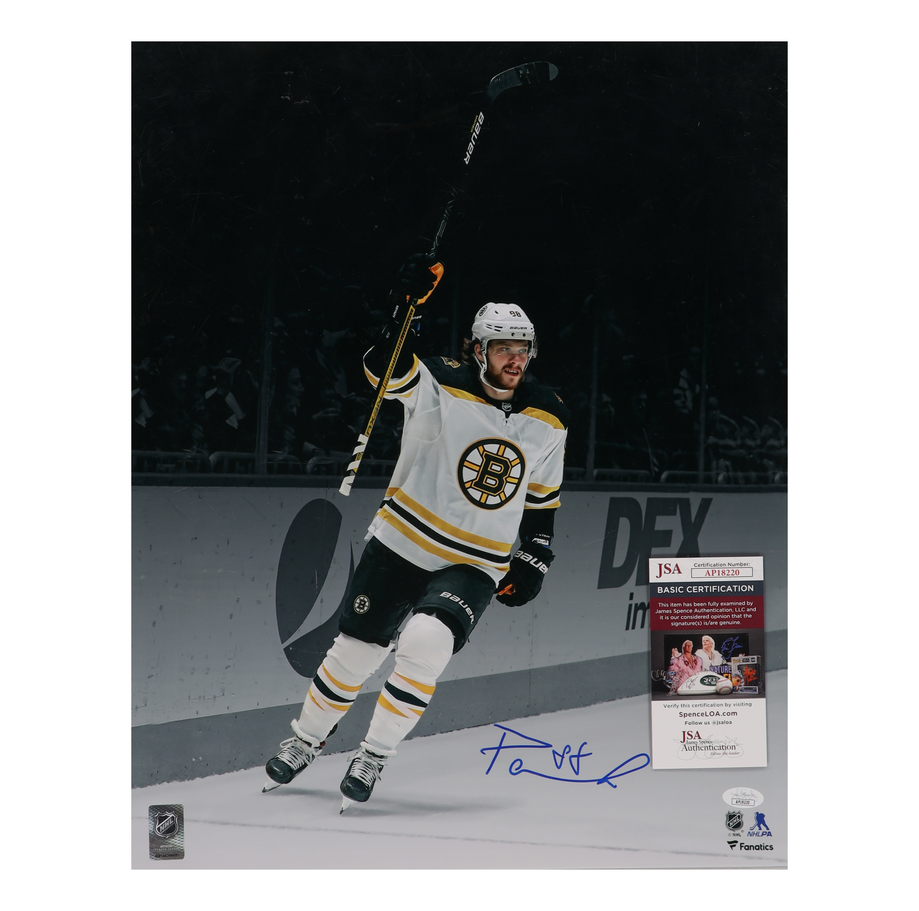 David Pastrnak Signed Bruins 16x20 Photo (JSA) at PristineAuction.com David Pastrnak Signed Bruins 16x20 Photo (JSA) at PristineAuction.com