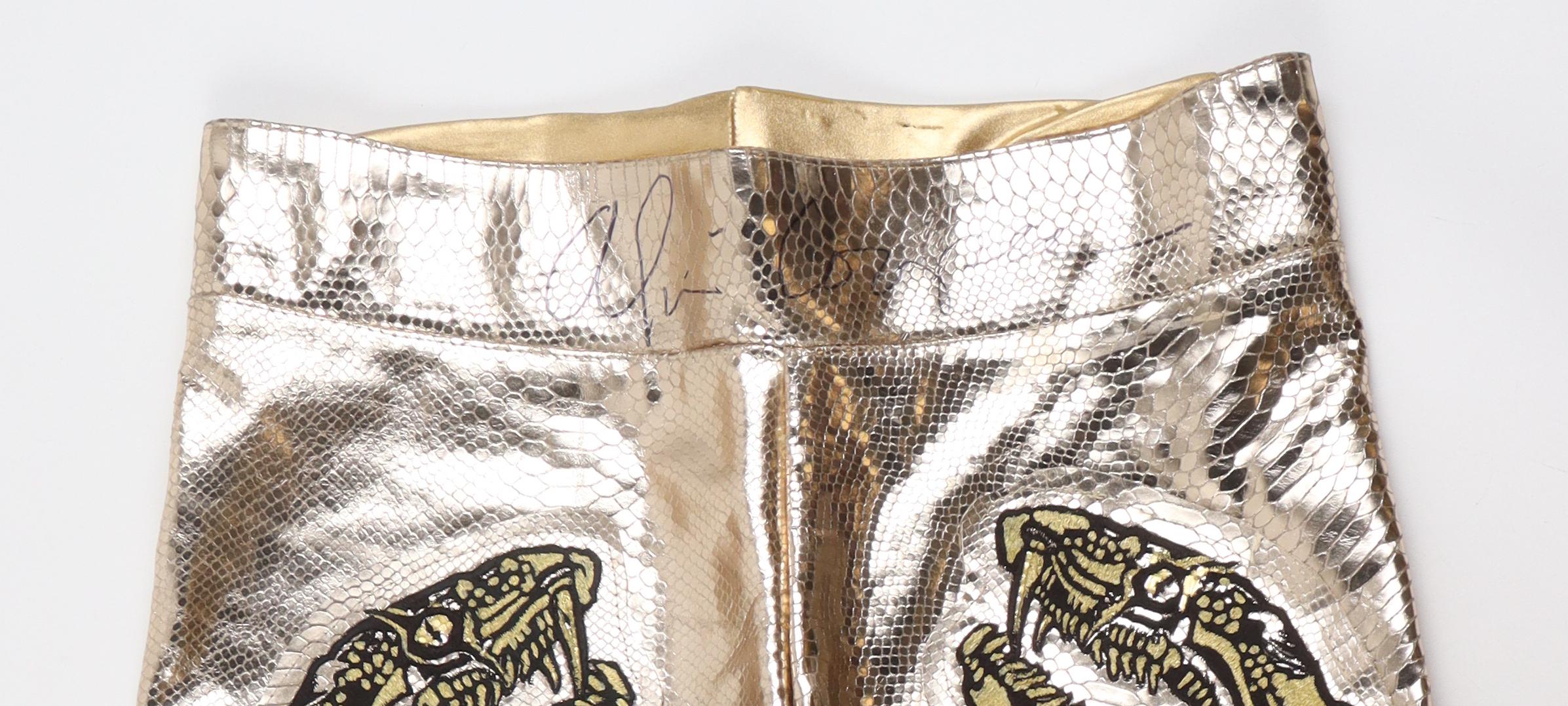 Alice Cooper Signed Stage | Concert Worn Custom Snake Pants (Beckett LOA) at PristineAuction.com Alice Cooper Signed Stage | Concert Worn Custom Snake Pants (Beckett LOA) at PristineAuction.com