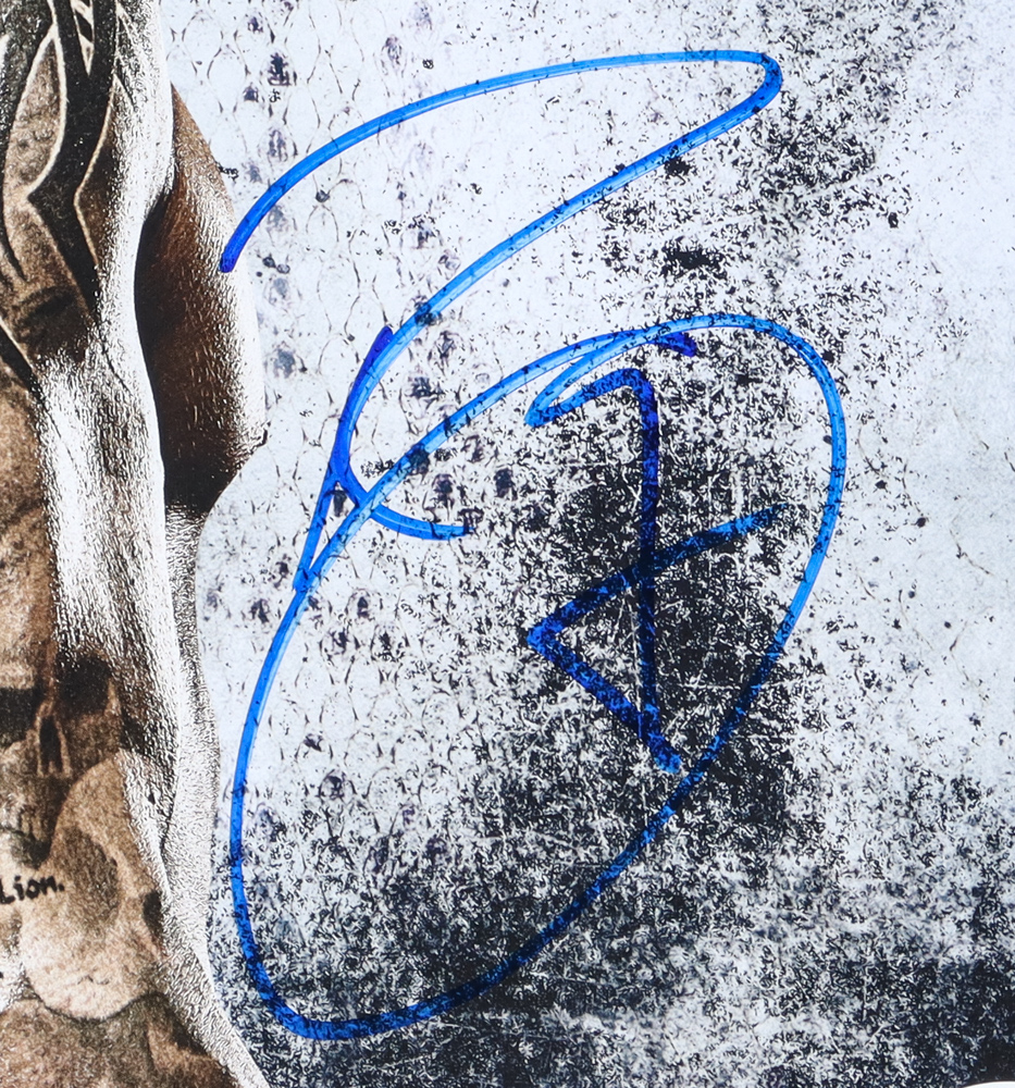 Randy Orton Signed WWE 11x14 Photo (JSA) at PristineAuction.com Randy Orton Signed WWE 11x14 Photo (JSA) at PristineAuction.com