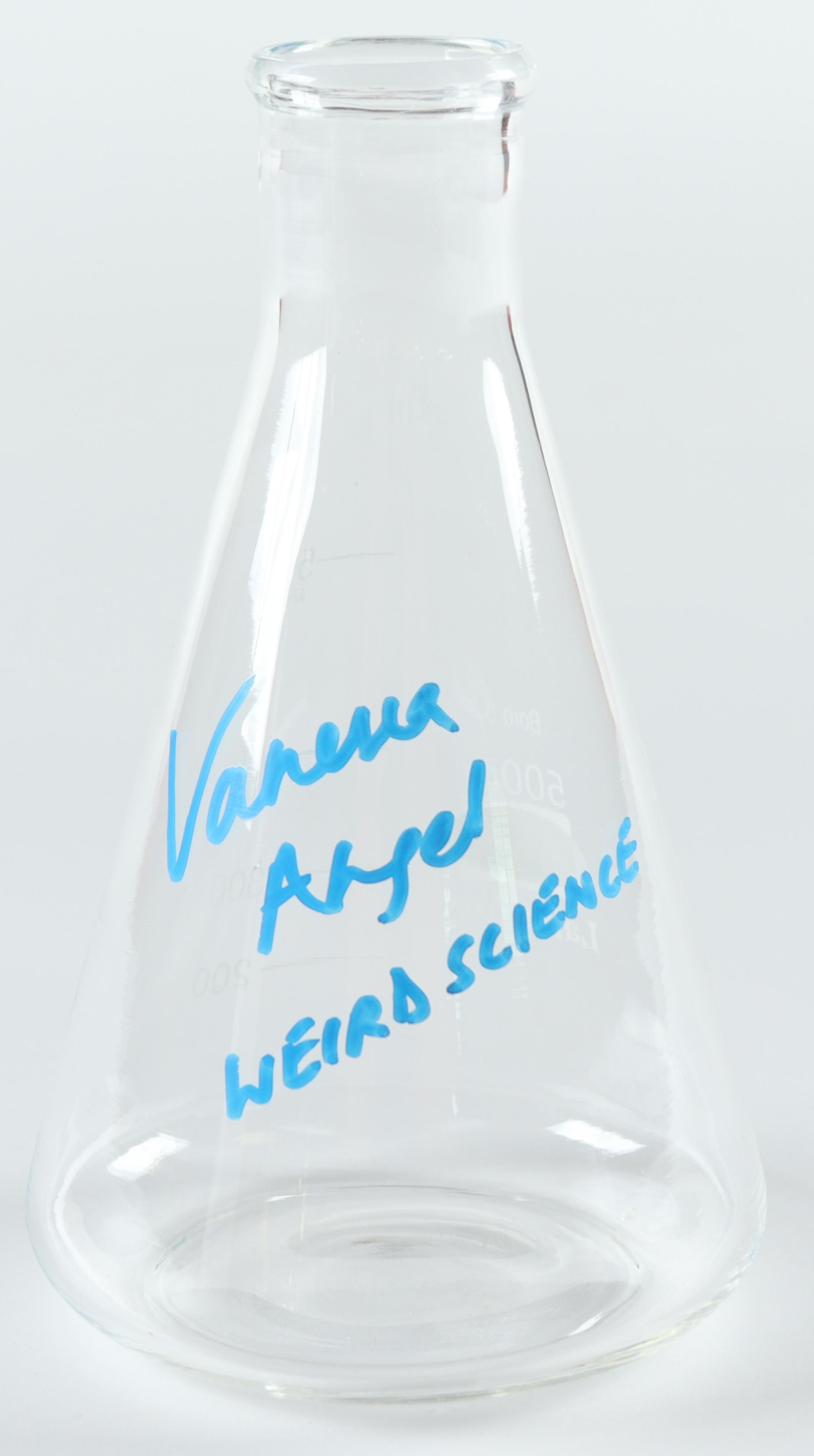 Vanessa Angel Signed Erlenmeyer Flask Inscribed "Weird Science" (JSA) at PristineAuction.com Vanessa Angel Signed Erlenmeyer Flask Inscribed "Weird Science" (JSA) at PristineAuction.com