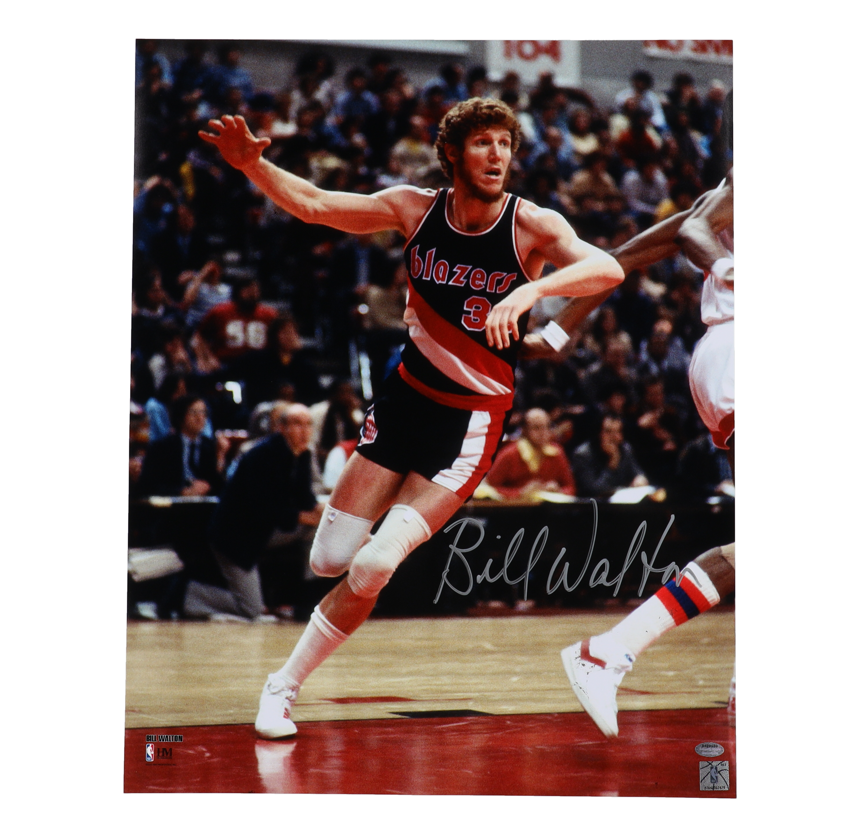 Bill Walton Signed Trail Blazers 16x20 Photo (Schwartz) at PristineAuction.com Bill Walton Signed Trail Blazers 16x20 Photo (Schwartz) at PristineAuction.com