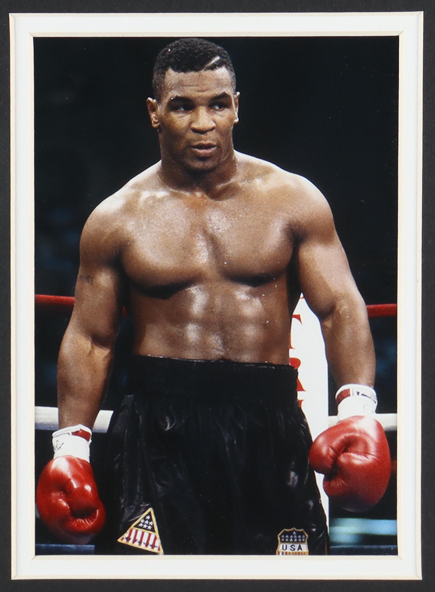 Mike Tyson Signed Custom Framed Boxing Trunks Display (Tyson & JSA) at PristineAuction.com Mike Tyson Signed Custom Framed Boxing Trunks Display (Tyson & JSA) at PristineAuction.com