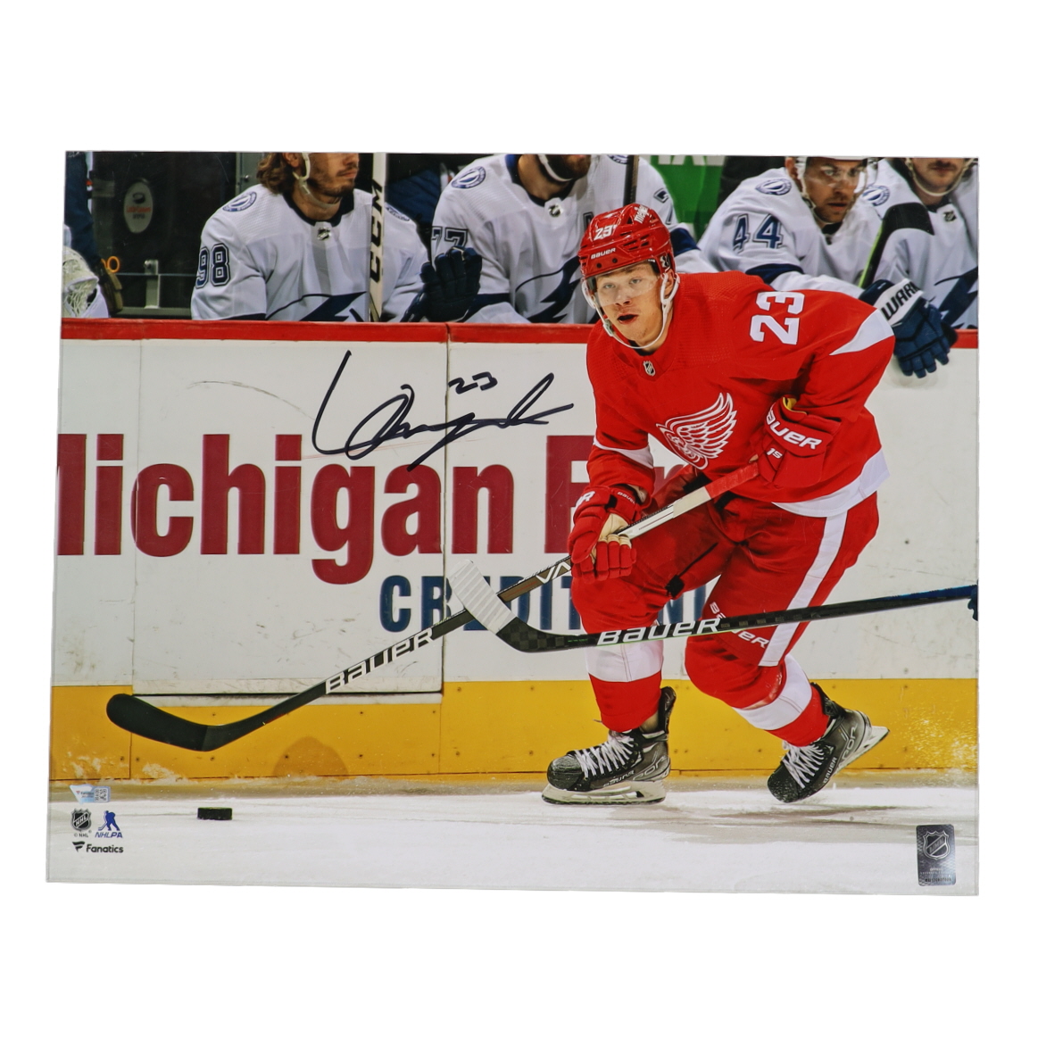 Lucas Raymond Signed Red Wings 16x20 Photo (Fanatics) at PristineAuction.com Lucas Raymond Signed Red Wings 16x20 Photo (Fanatics) at PristineAuction.com