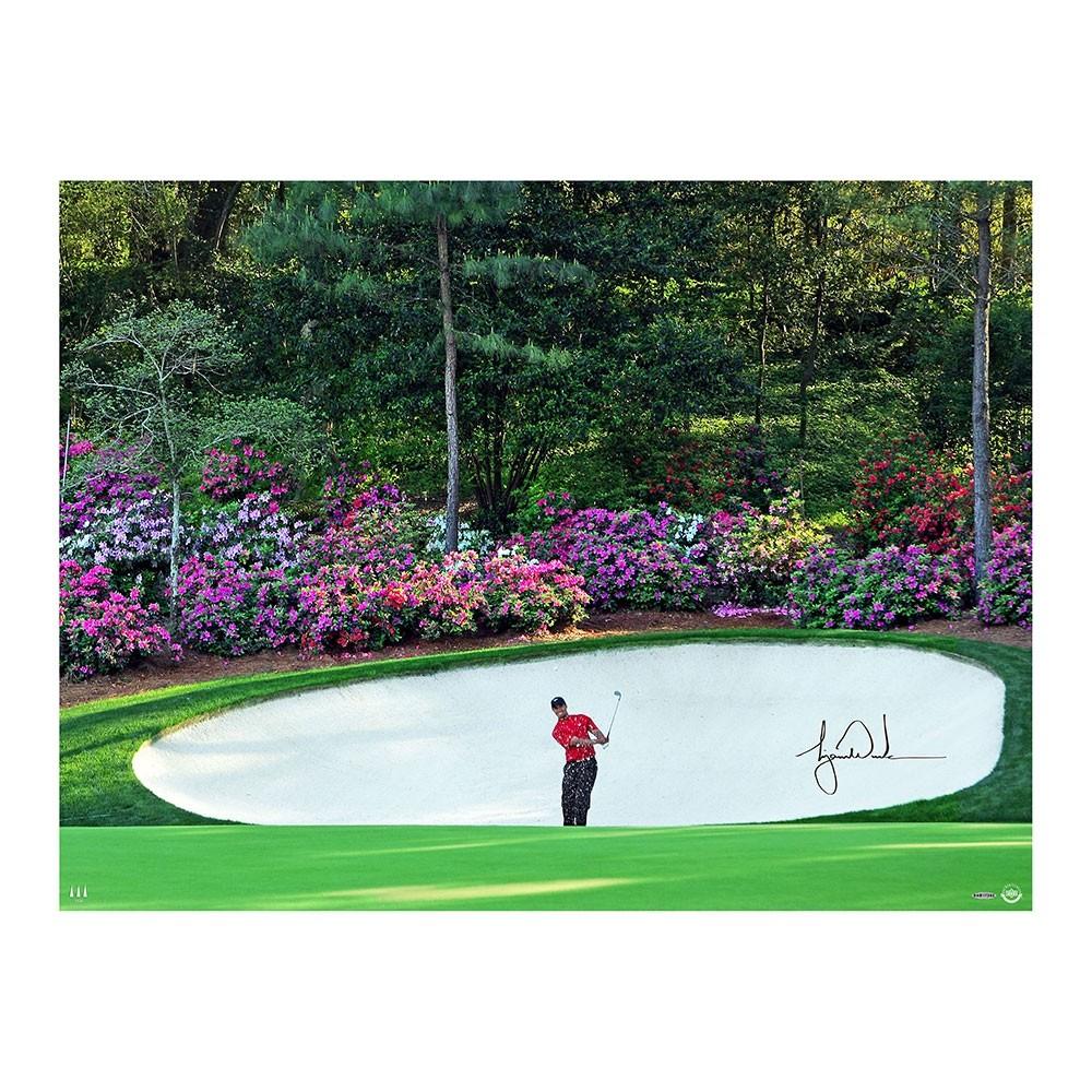 Tiger Woods Signed Masters "Azalea" 30x40 Photo (UDA) at PristineAuction.com Tiger Woods Signed Masters "Azalea" 30x40 Photo (UDA) at PristineAuction.com