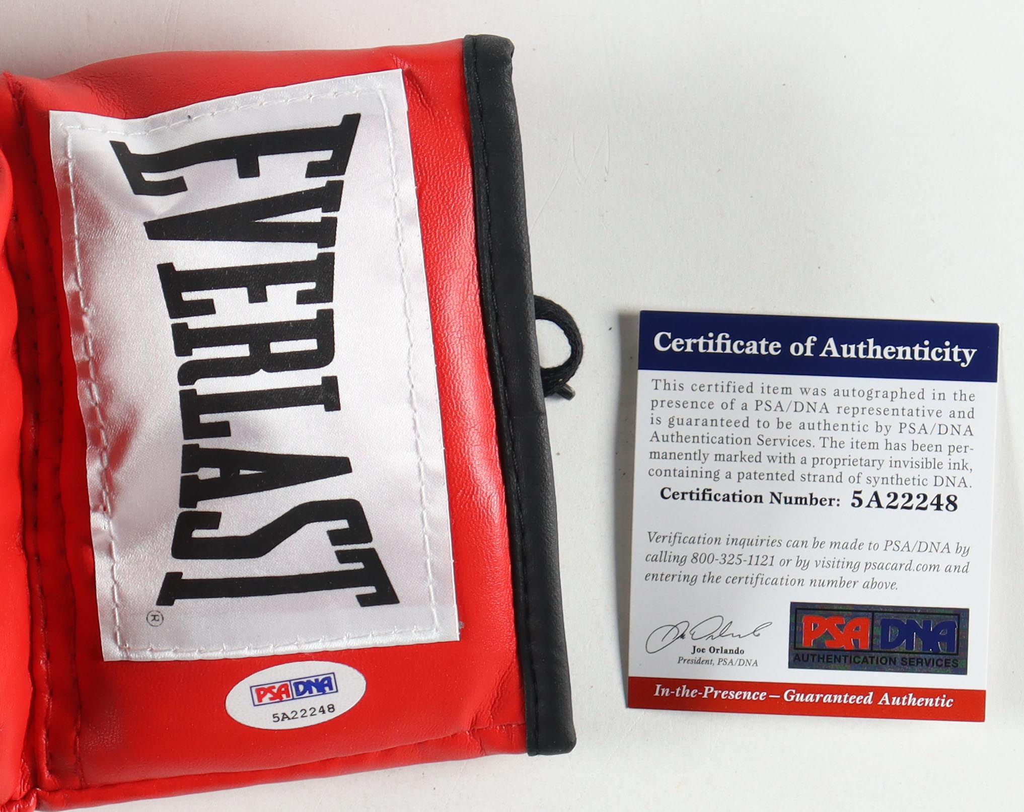 Evander Holyfield Signed Everlast Boxing Glove With Everlast Wraps in Display Case (PSA) at PristineAuction.com Evander Holyfield Signed Everlast Boxing Glove With Everlast Wraps in Display Case (PSA) at PristineAuction.com