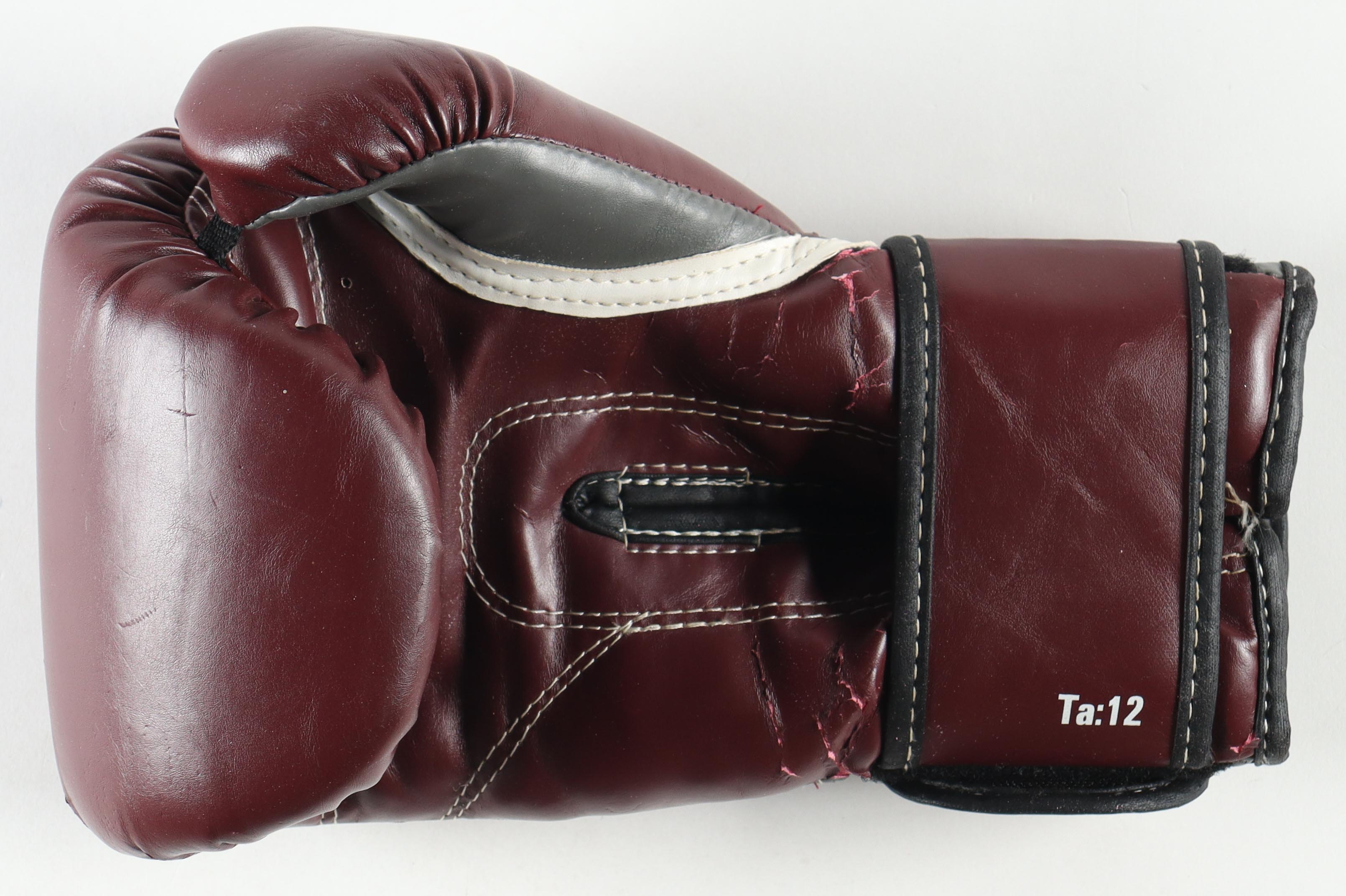 Mike Tyson Signed Vintage Everlast Muhammad Ali Model Burgundy Glove In Display Case (PSA) at PristineAuction.com Mike Tyson Signed Vintage Everlast Muhammad Ali Model Burgundy Glove In Display Case (PSA) at PristineAuction.com