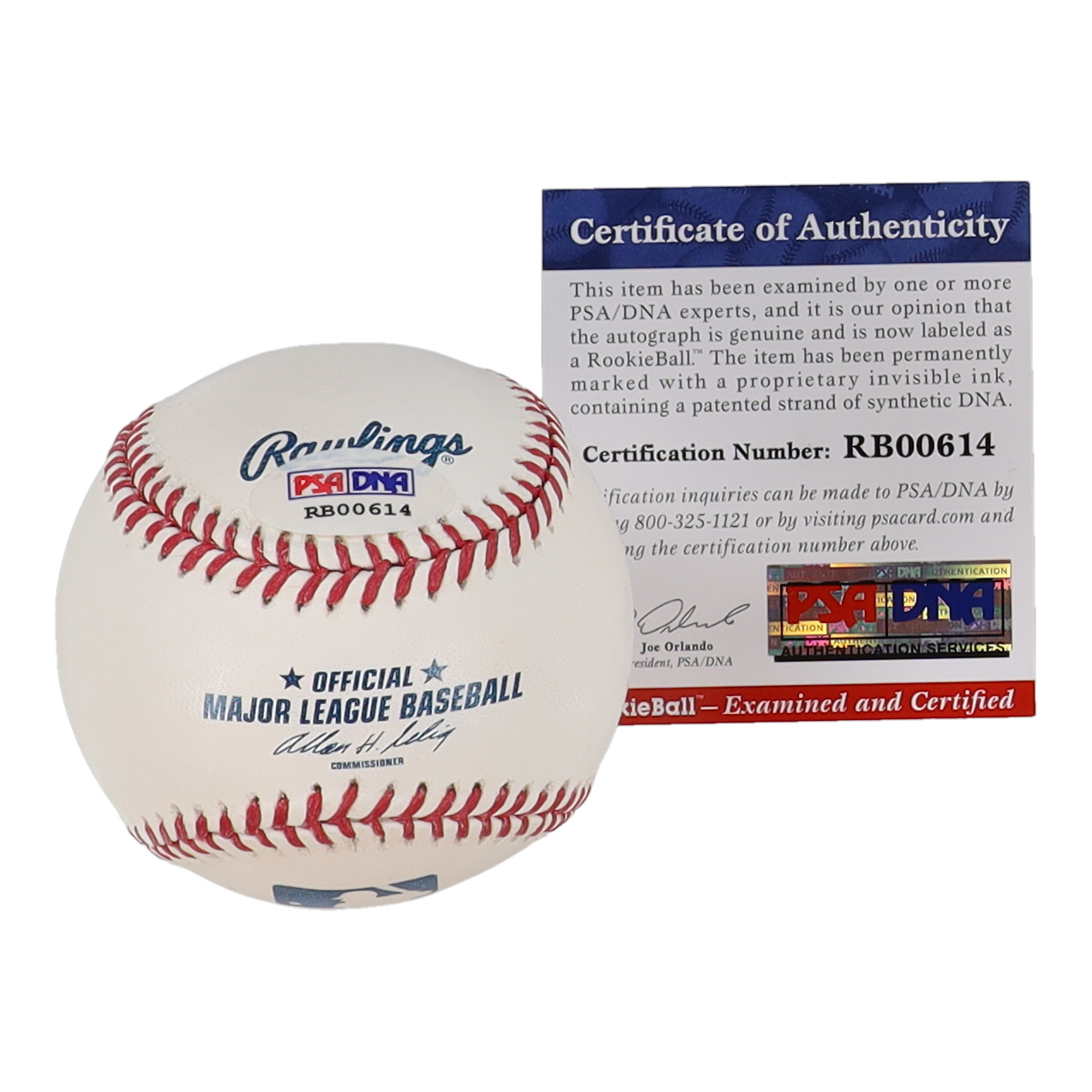 Rob Refsnyder Signed OML Baseball (PSA) at PristineAuction.com Rob Refsnyder Signed OML Baseball (PSA) at PristineAuction.com