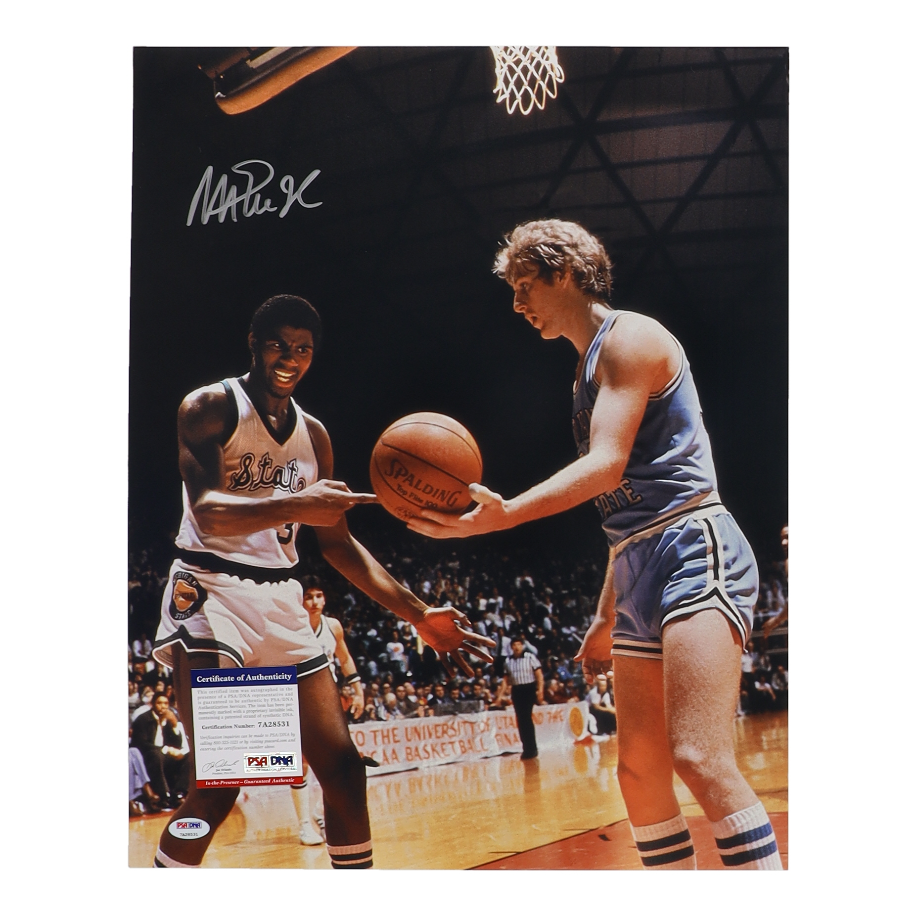 Magic Johnson Signed Michigan State Spartans 16x20 Photo (PSA) at PristineAuction.com Magic Johnson Signed Michigan State Spartans 16x20 Photo (PSA) at PristineAuction.com