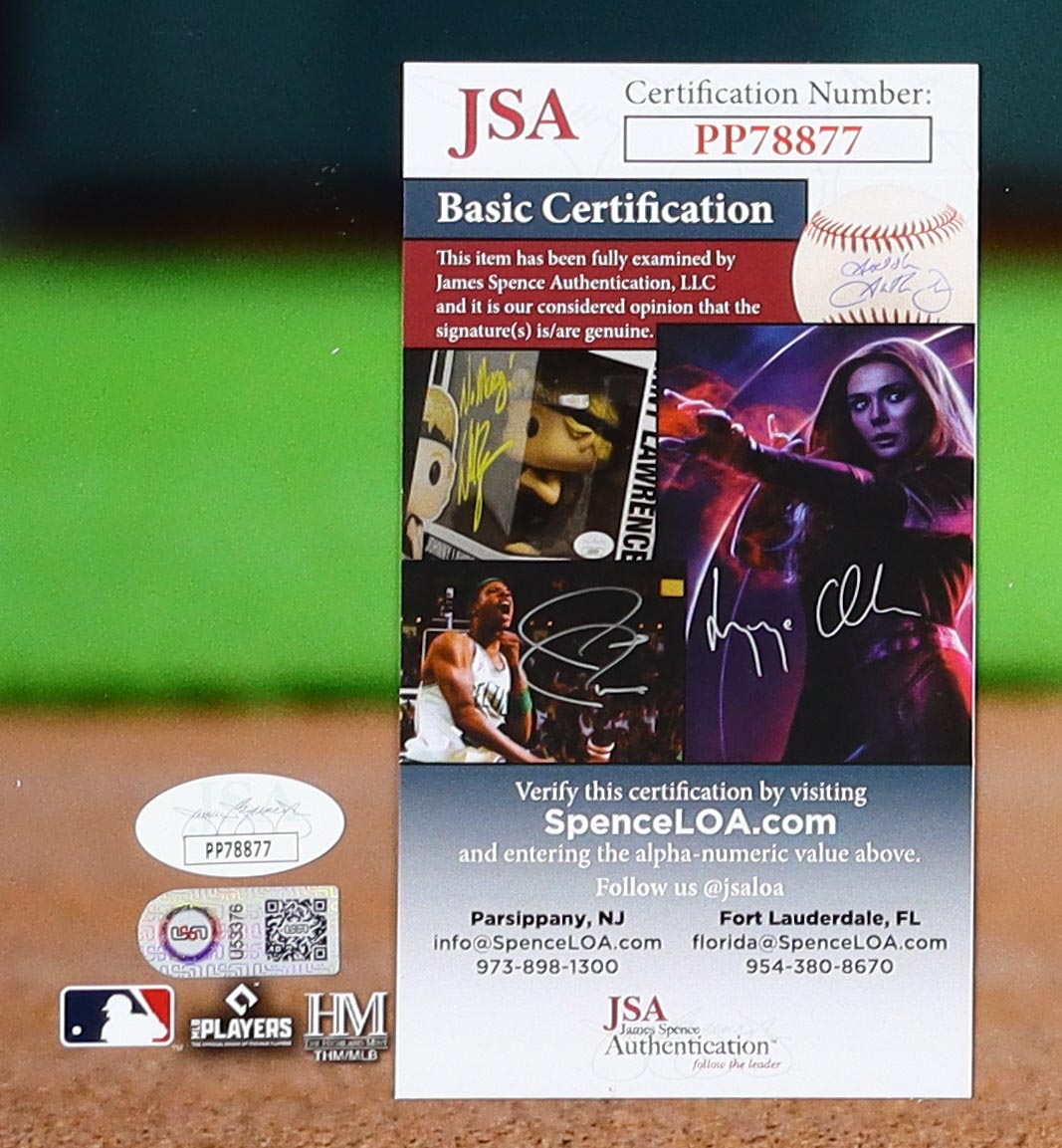 Vladimir Guerrero Jr. Signed Blue Jays 16x20 Photo (JSA & Guerrero Jr) at PristineAuction.com Vladimir Guerrero Jr. Signed Blue Jays 16x20 Photo (JSA & Guerrero Jr) at PristineAuction.com