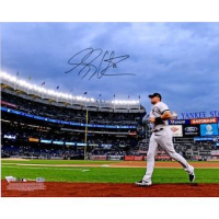Luke Voit Signed Yankees 16x20 Photo (Fanatics) at PristineAuction.com