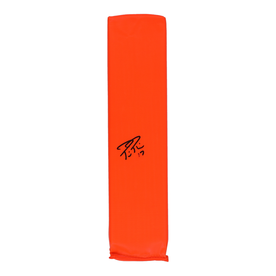 Philip Rivers Signed Full-Size Pylon (JSA) at PristineAuction.com Philip Rivers Signed Full-Size Pylon (JSA) at PristineAuction.com