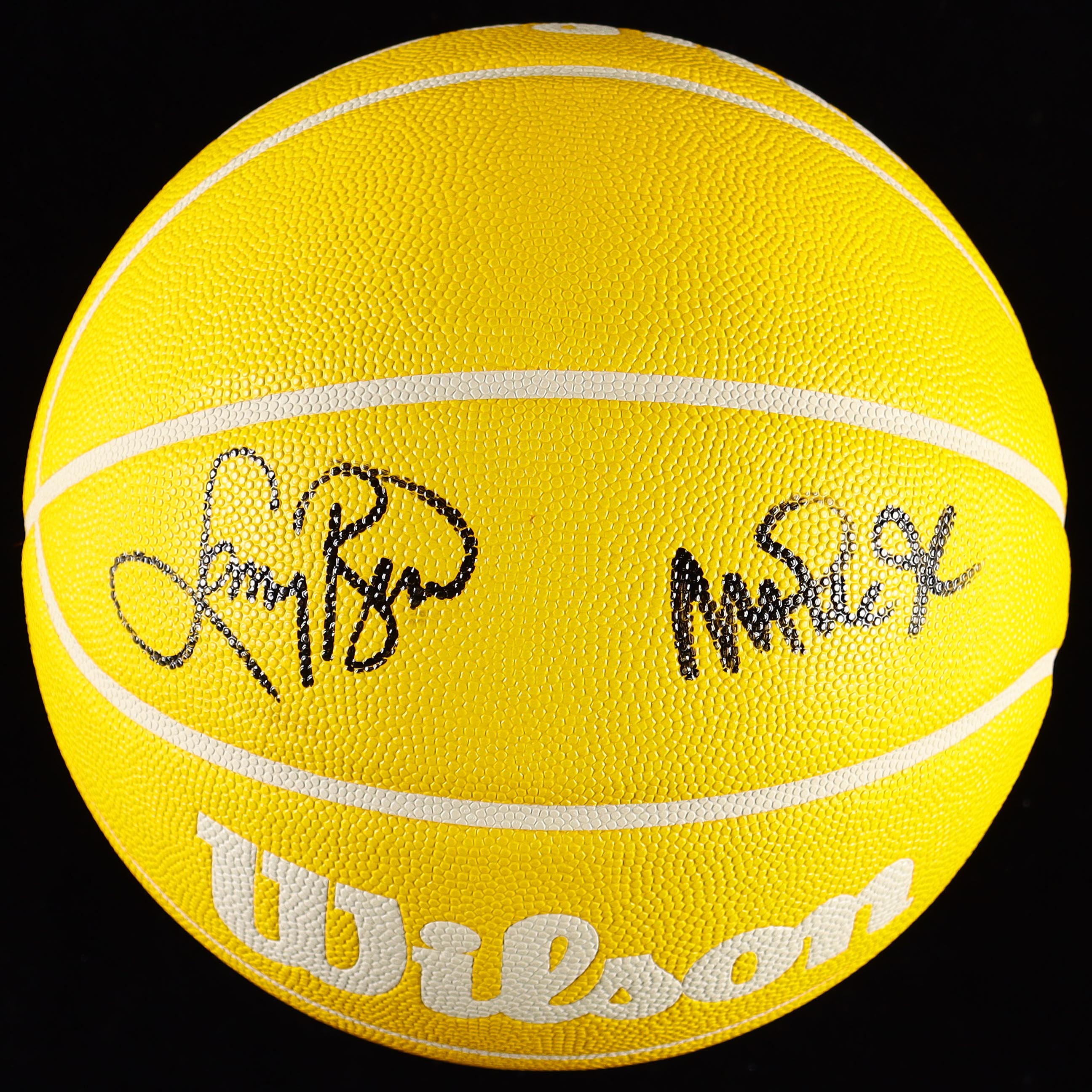 Larry Bird & Magic Johnson Signed NBA Basketball With Display Case (PSA & Beckett) at PristineAuction.com Larry Bird & Magic Johnson Signed NBA Basketball With Display Case (PSA & Beckett) at PristineAuction.com