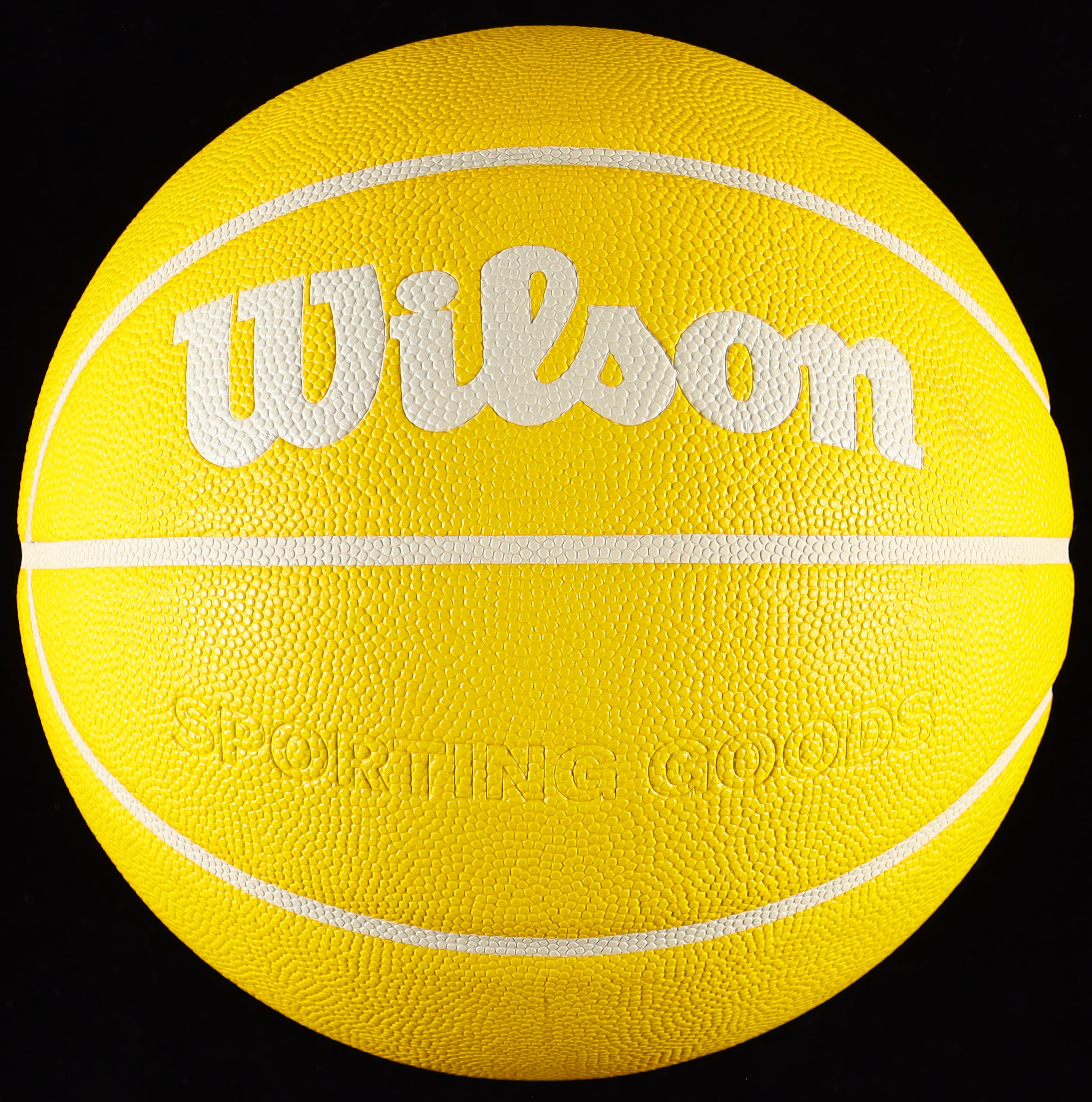 Larry Bird & Magic Johnson Signed NBA Basketball With Display Case (PSA & Beckett) at PristineAuction.com Larry Bird & Magic Johnson Signed NBA Basketball With Display Case (PSA & Beckett) at PristineAuction.com