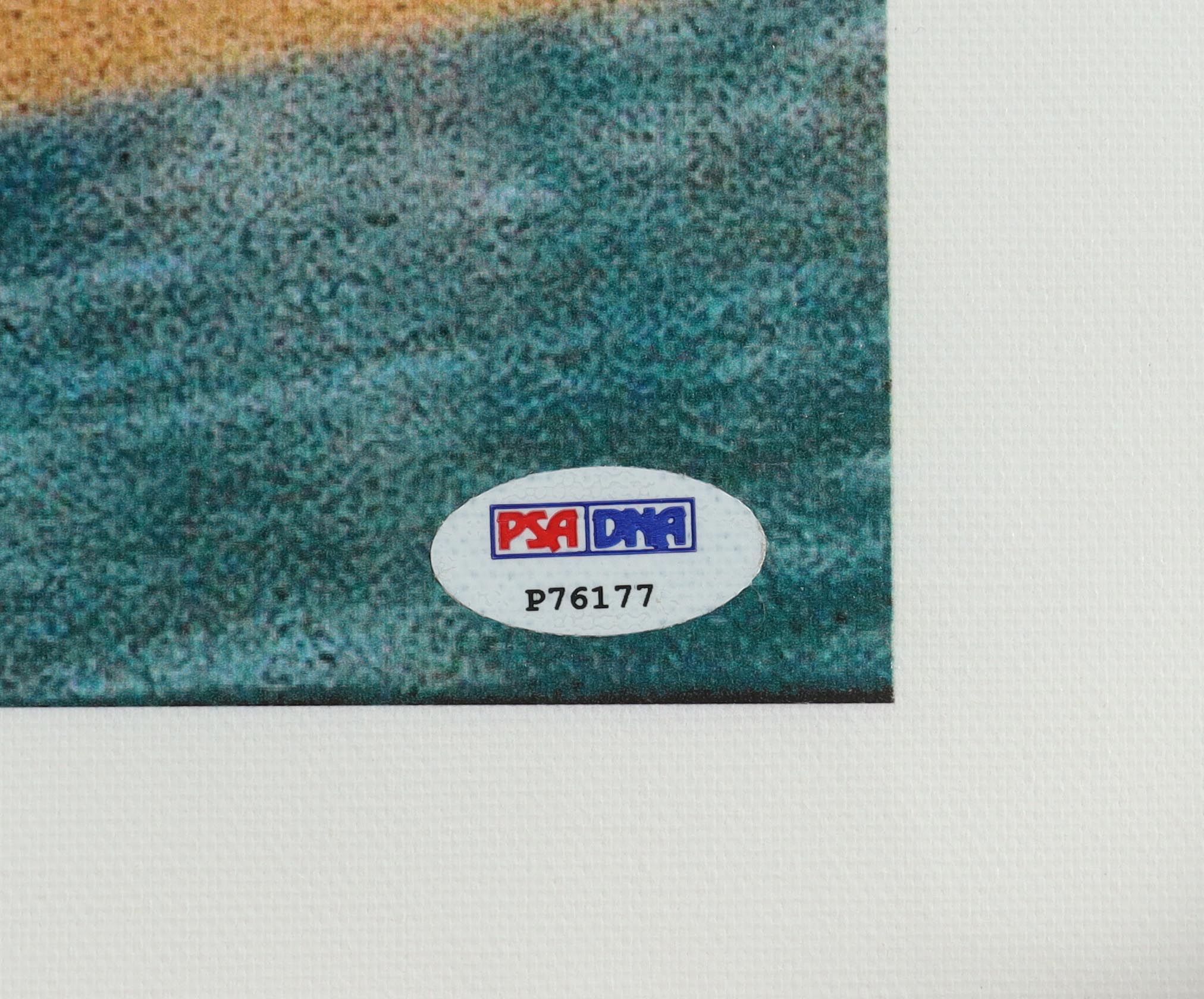 Julius "Dr. J" Erving Signed 76ers 53x63 Photo on Canvas (PSA) at PristineAuction.com Julius "Dr. J" Erving Signed 76ers 53x63 Photo on Canvas (PSA) at PristineAuction.com