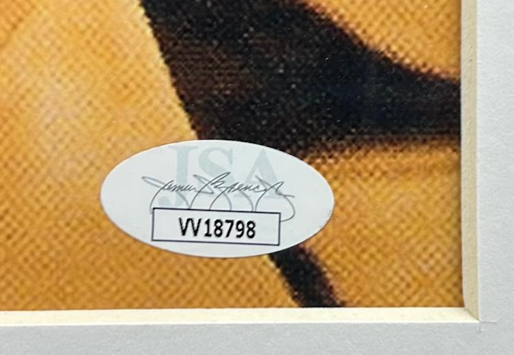 Tommy Chong & Cheech Marin Signed "Up in Smoke" Custom Framed Photo Display (JSA) at PristineAuction.com Tommy Chong & Cheech Marin Signed "Up in Smoke" Custom Framed Photo Display (JSA) at PristineAuction.com