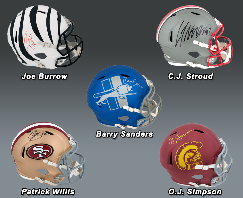 thumbnail image 2 of Wilson Autograph Signature Series F1173 Full Size Football – 4 White Panels, NFL Style, Ready For Signatures 2 of 2