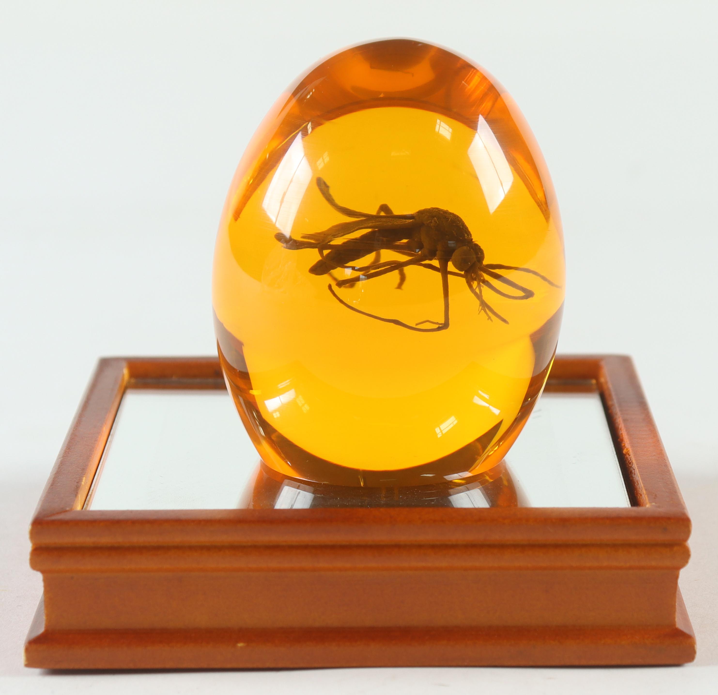 Jurassic Park Replica Mosquito In Amber With Display Stand at PristineAuction.com Jurassic Park Replica Mosquito In Amber With Display Stand at PristineAuction.com