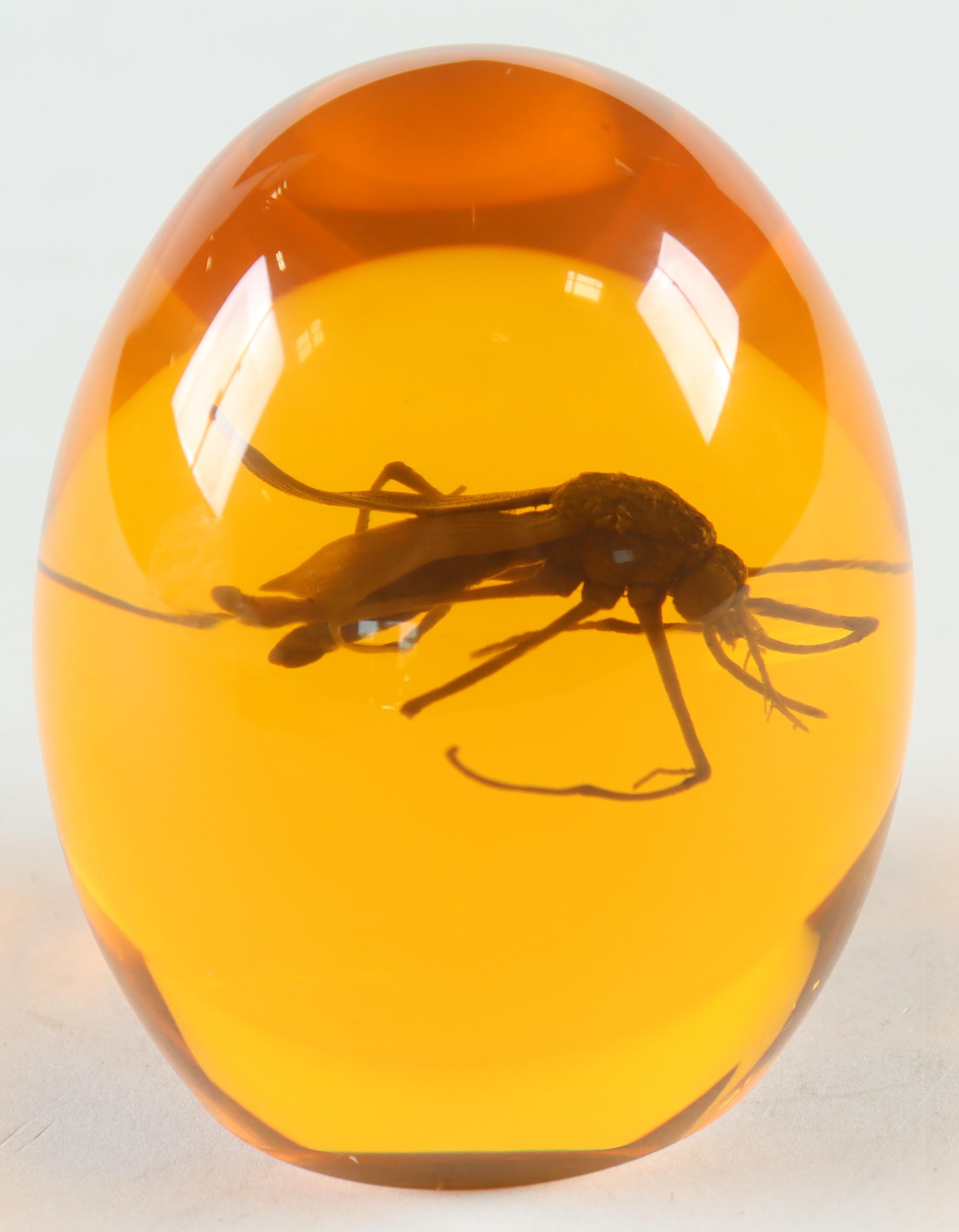 Jurassic Park Replica Mosquito In Amber With Display Stand at PristineAuction.com Jurassic Park Replica Mosquito In Amber With Display Stand at PristineAuction.com