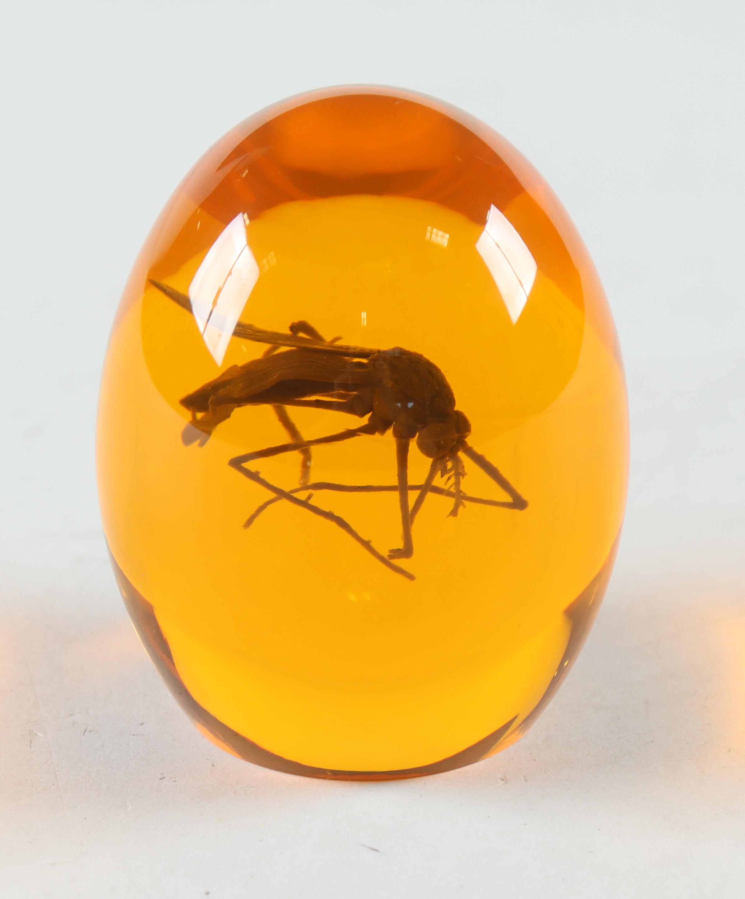 "Jurassic Park" Prop Replica Mosquito in Amber at PristineAuction.com "Jurassic Park" Prop Replica Mosquito in Amber at PristineAuction.com