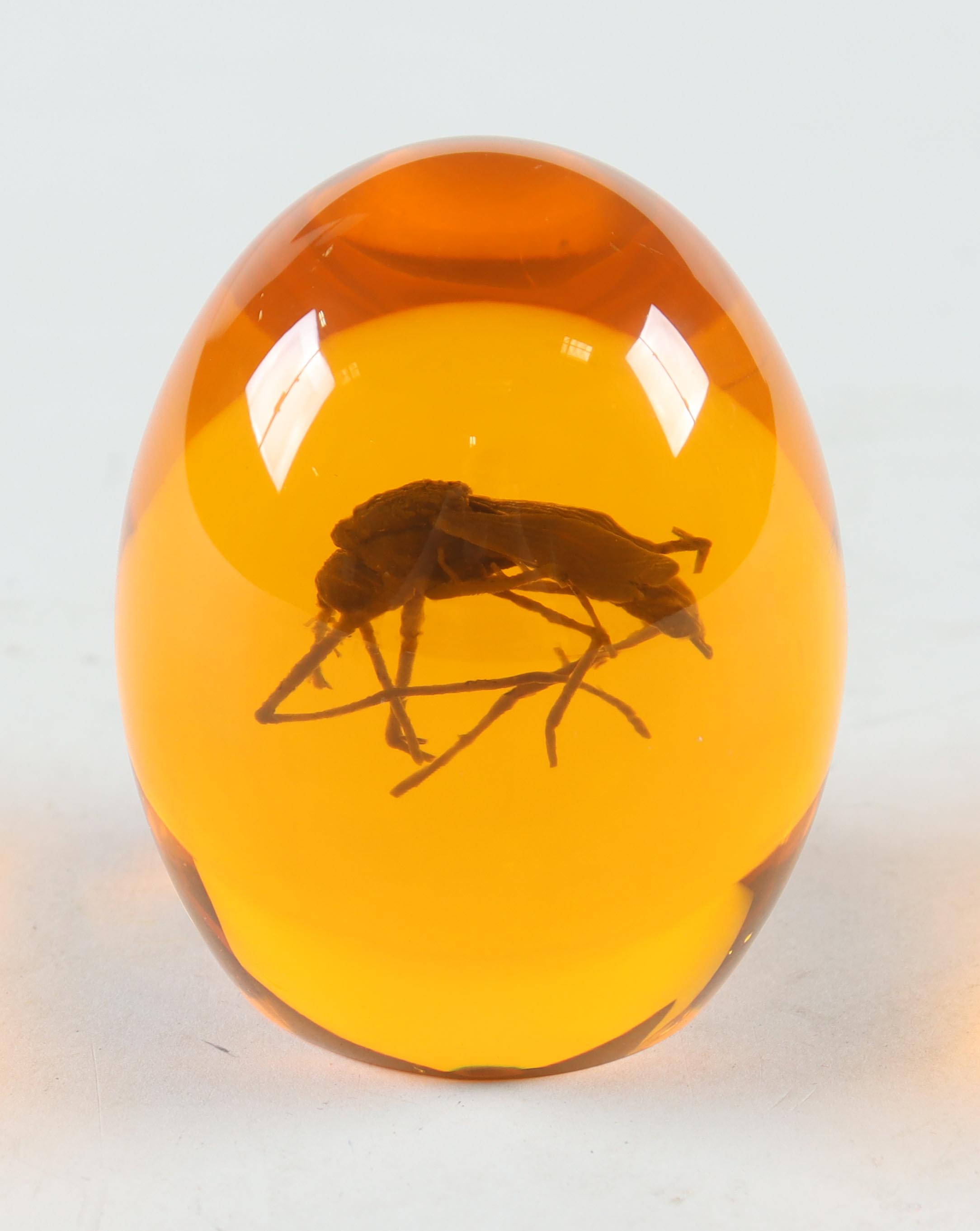"Jurassic Park" Prop Replica Mosquito in Amber at PristineAuction.com "Jurassic Park" Prop Replica Mosquito in Amber at PristineAuction.com
