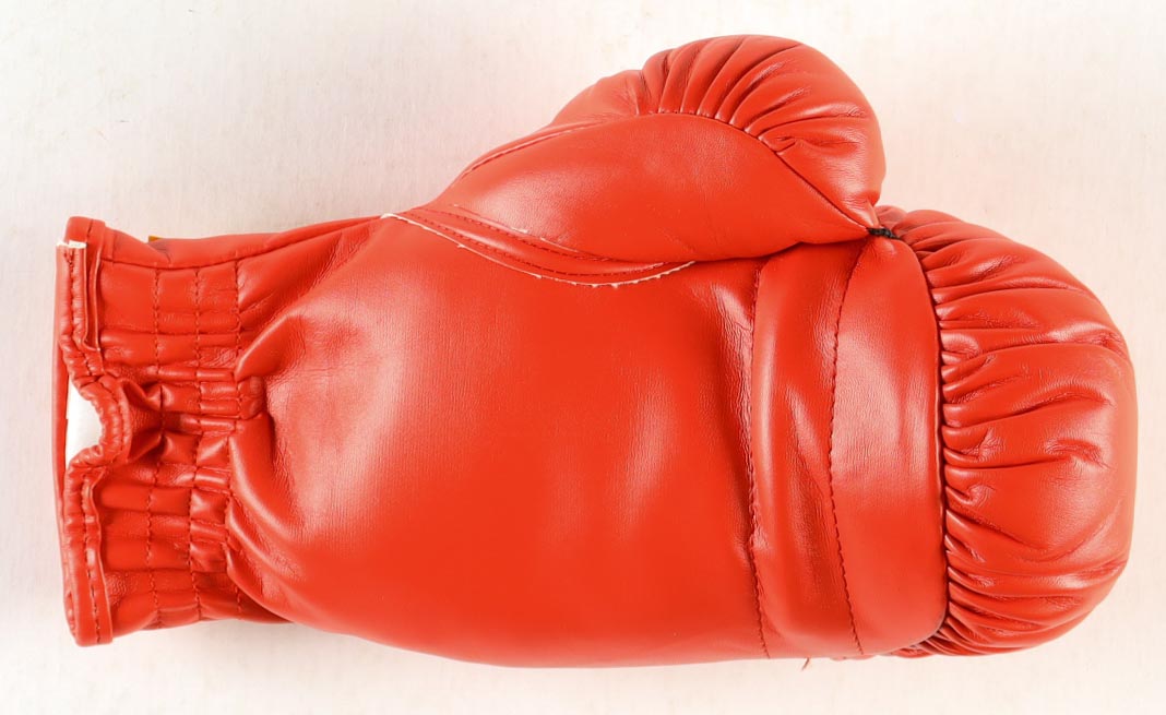 Marco Antonio Barrera Signed Everlast Boxing Glove (JSA) at PristineAuction.com Marco Antonio Barrera Signed Everlast Boxing Glove (JSA) at PristineAuction.com