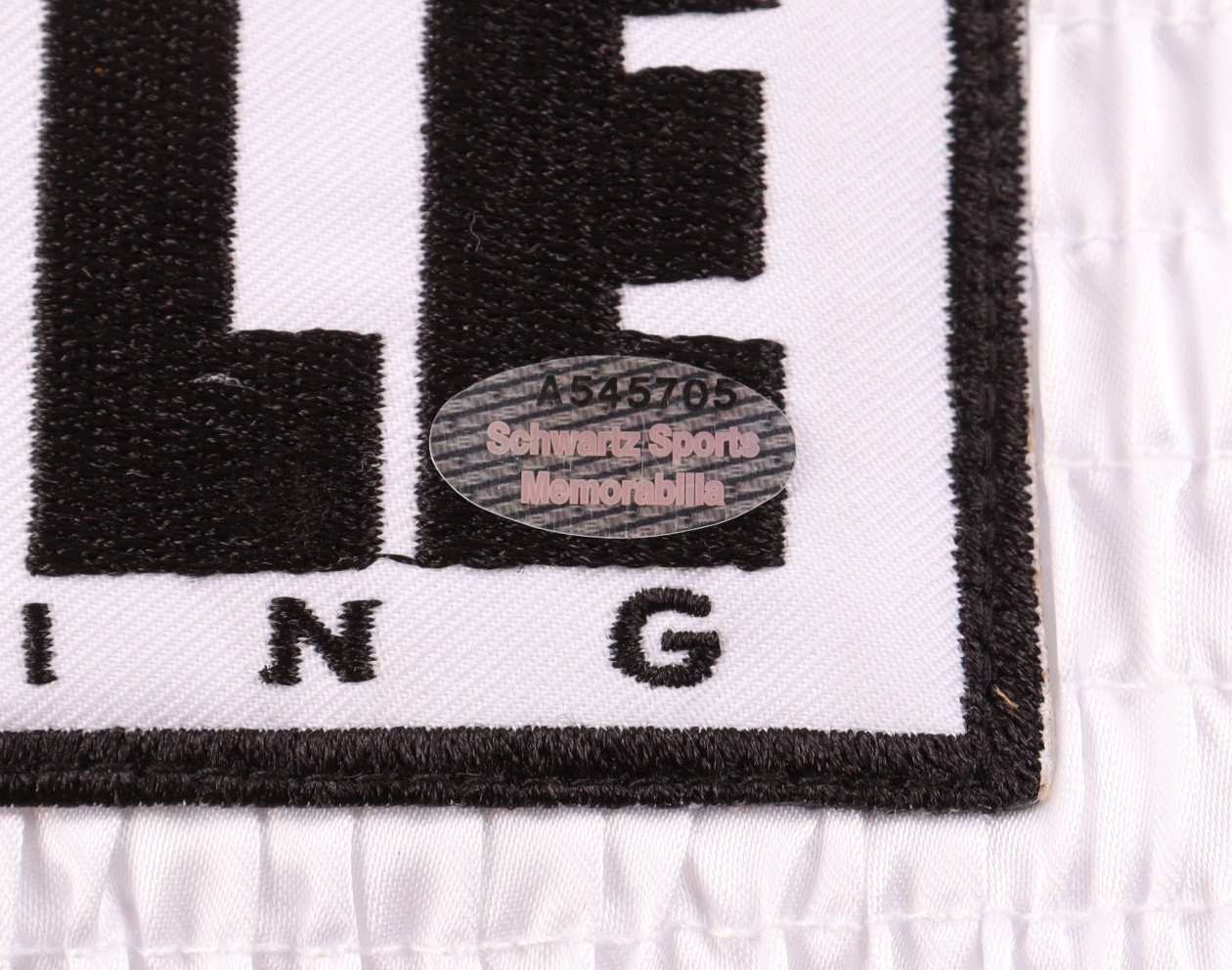 Roy Jones Jr. Signed Title Boxing Trunks (Schwartz) at PristineAuction.com Roy Jones Jr. Signed Title Boxing Trunks (Schwartz) at PristineAuction.com