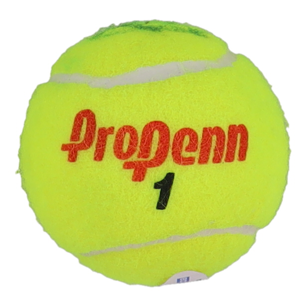 Leylah Annie Fernandez Signed Tennis Ball (ACOA) at PristineAuction.com Leylah Annie Fernandez Signed Tennis Ball (ACOA) at PristineAuction.com