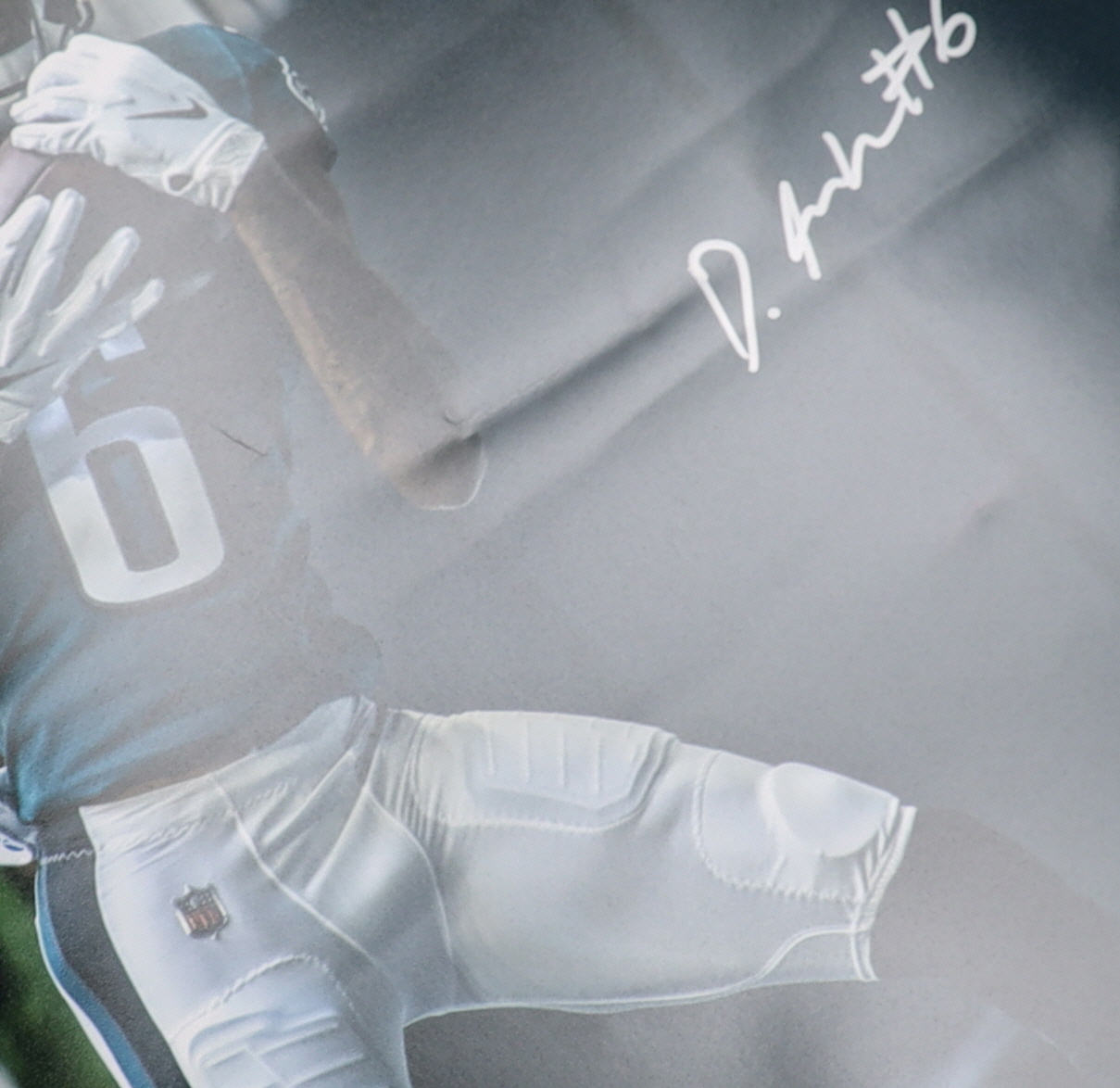DeVonta Smith Signed Eagles 16x20 Photo (Fanatics) at PristineAuction.com DeVonta Smith Signed Eagles 16x20 Photo (Fanatics) at PristineAuction.com